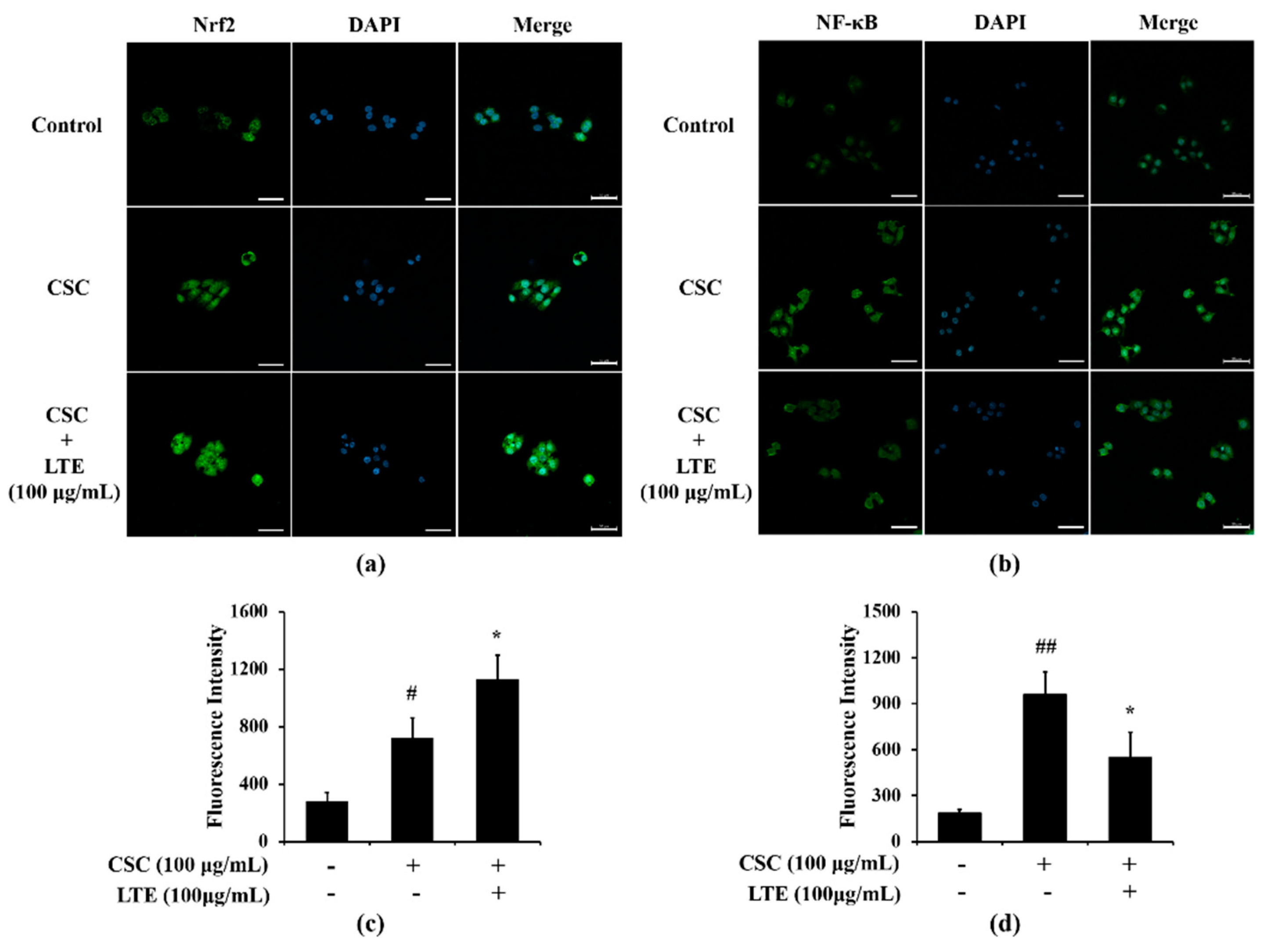 Antioxidants 11 01885 g006