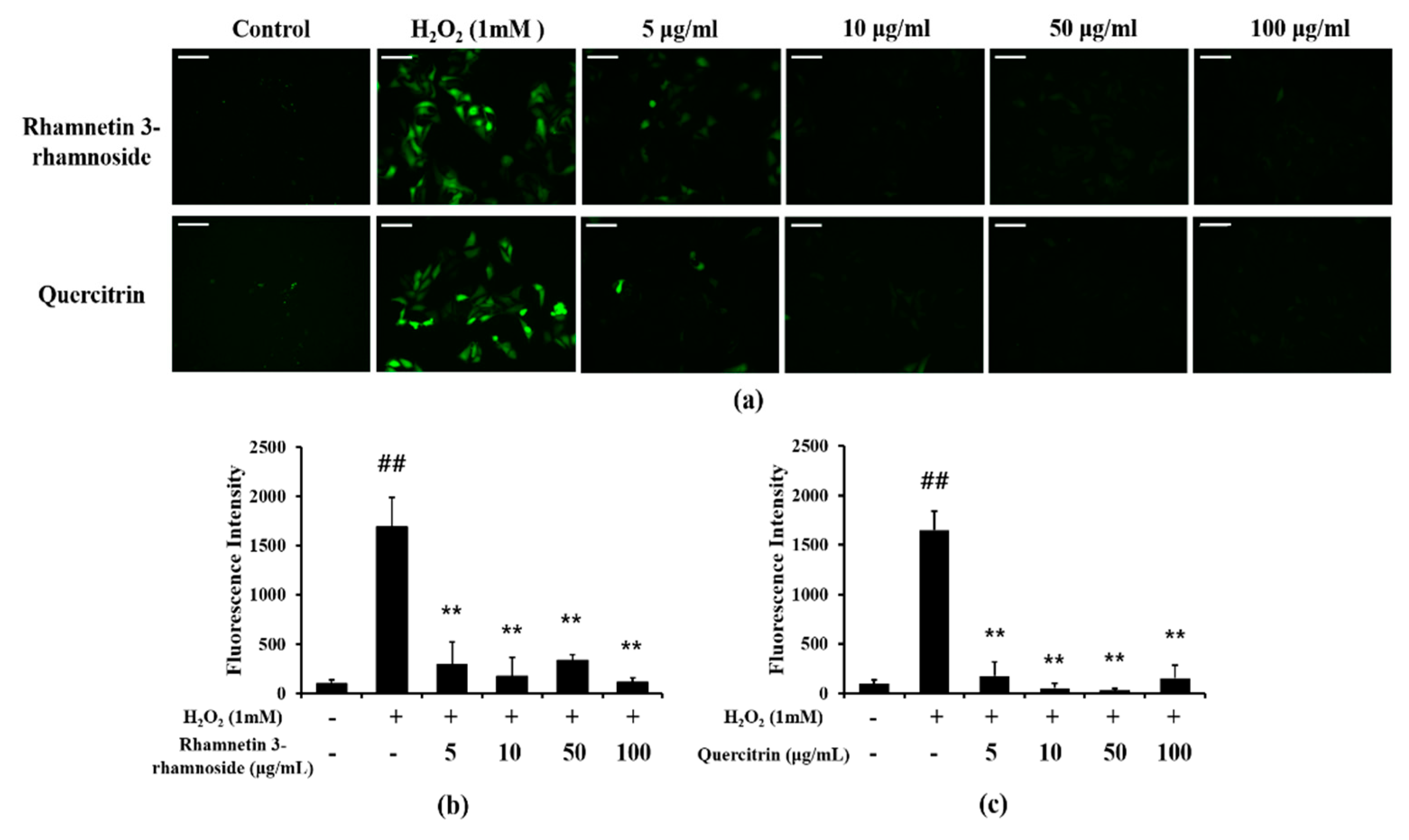 Antioxidants 11 01885 g007