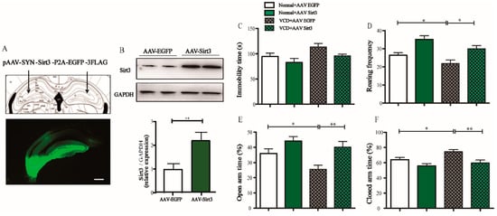 Antioxidants 11 01886 g005