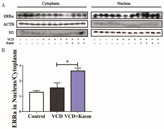 Antioxidants 11 01886 g006