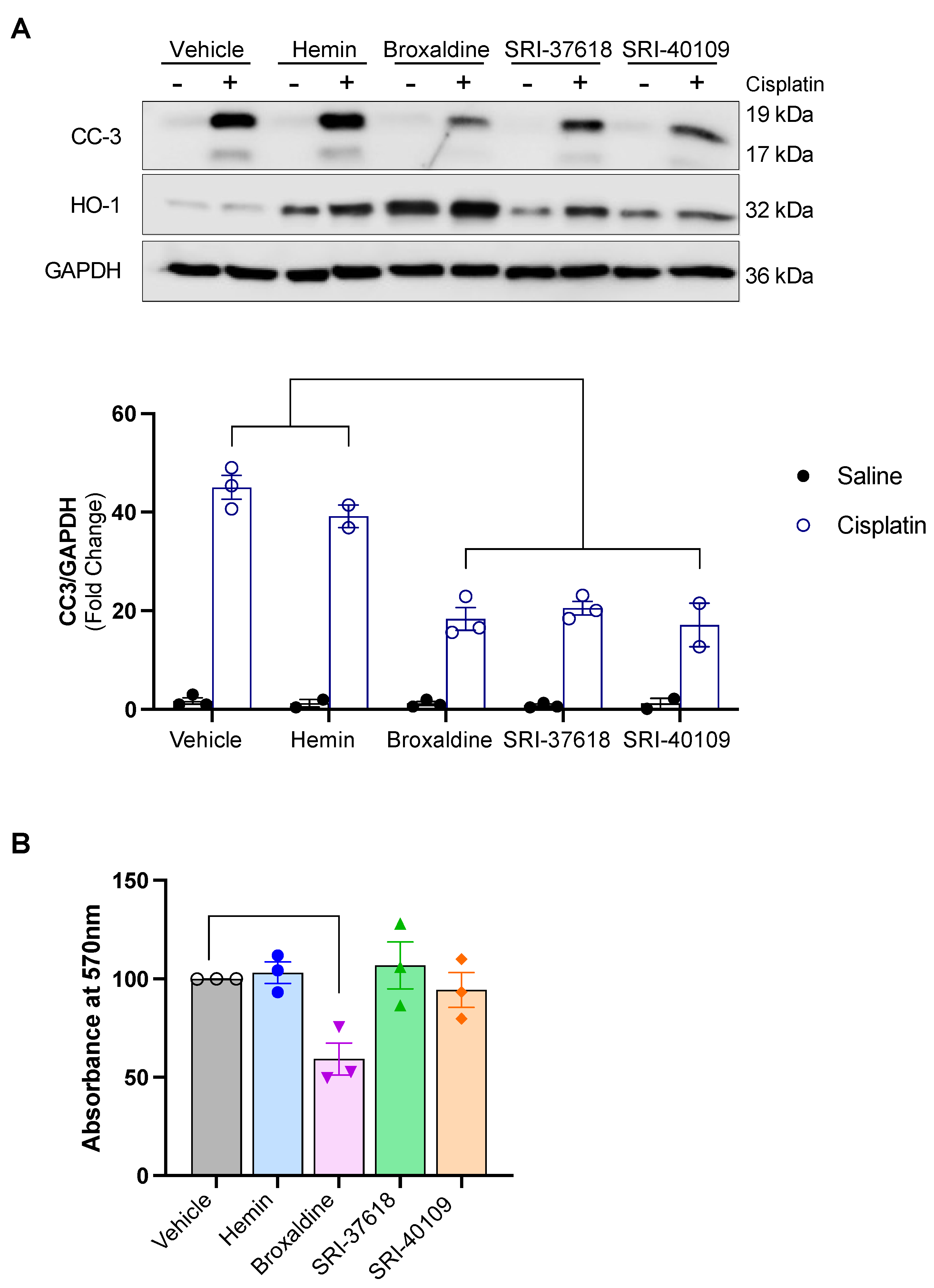 Antioxidants 11 01888 g007