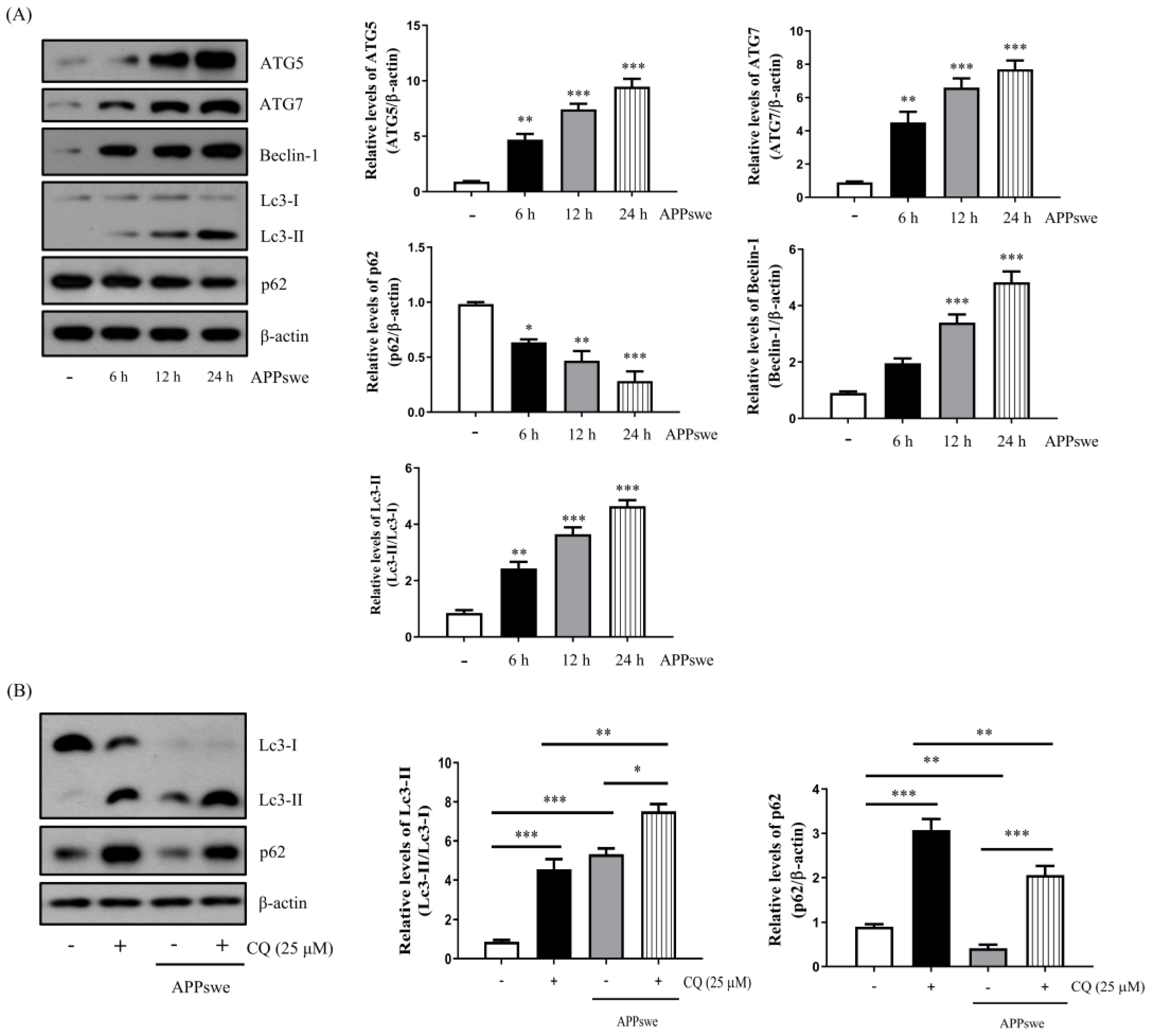 Antioxidants 11 01889 g002a