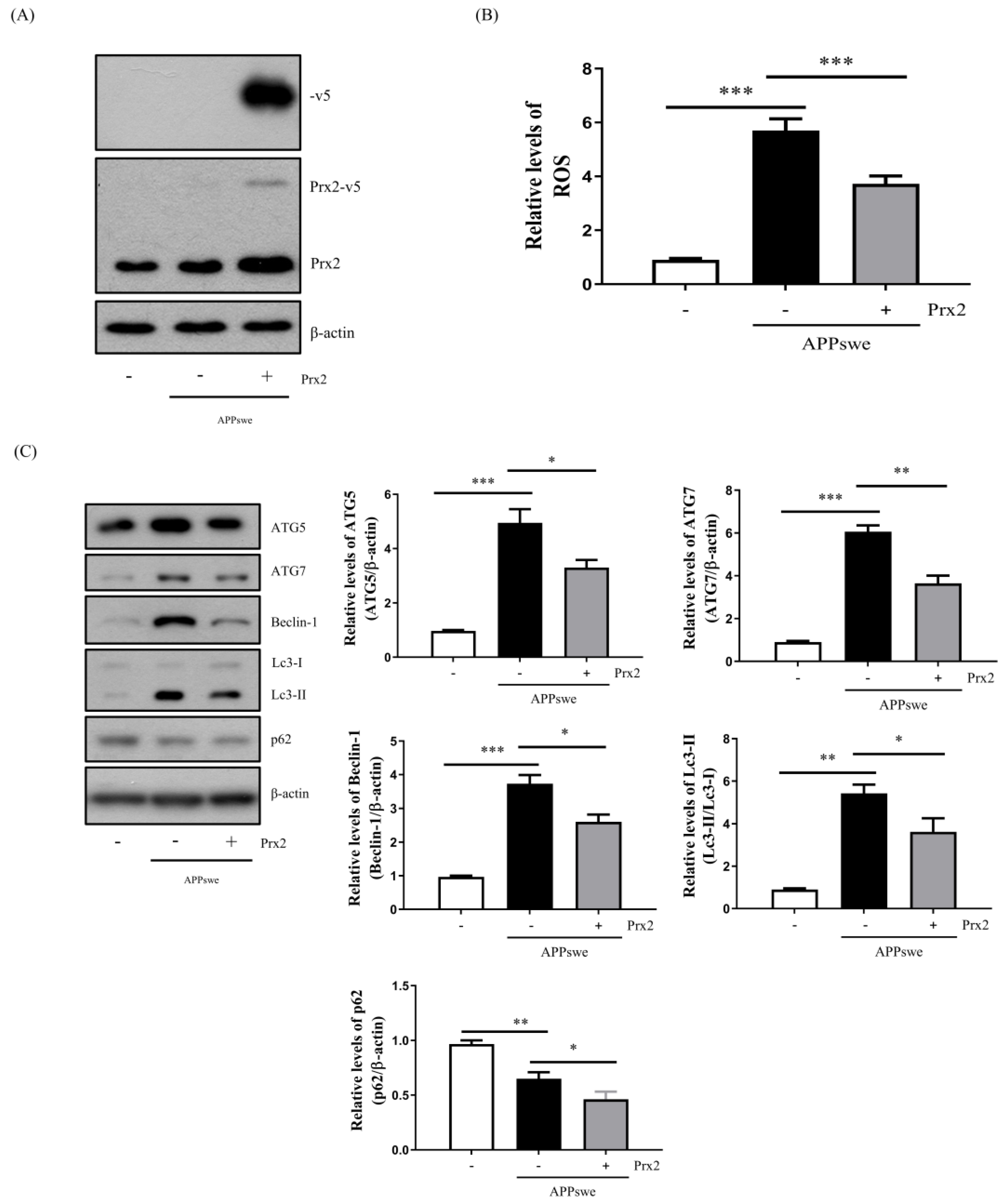 Antioxidants 11 01889 g004a