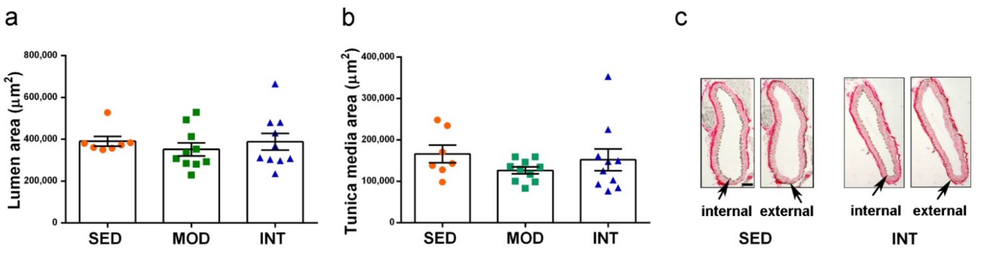 Antioxidants 11 01891 g004