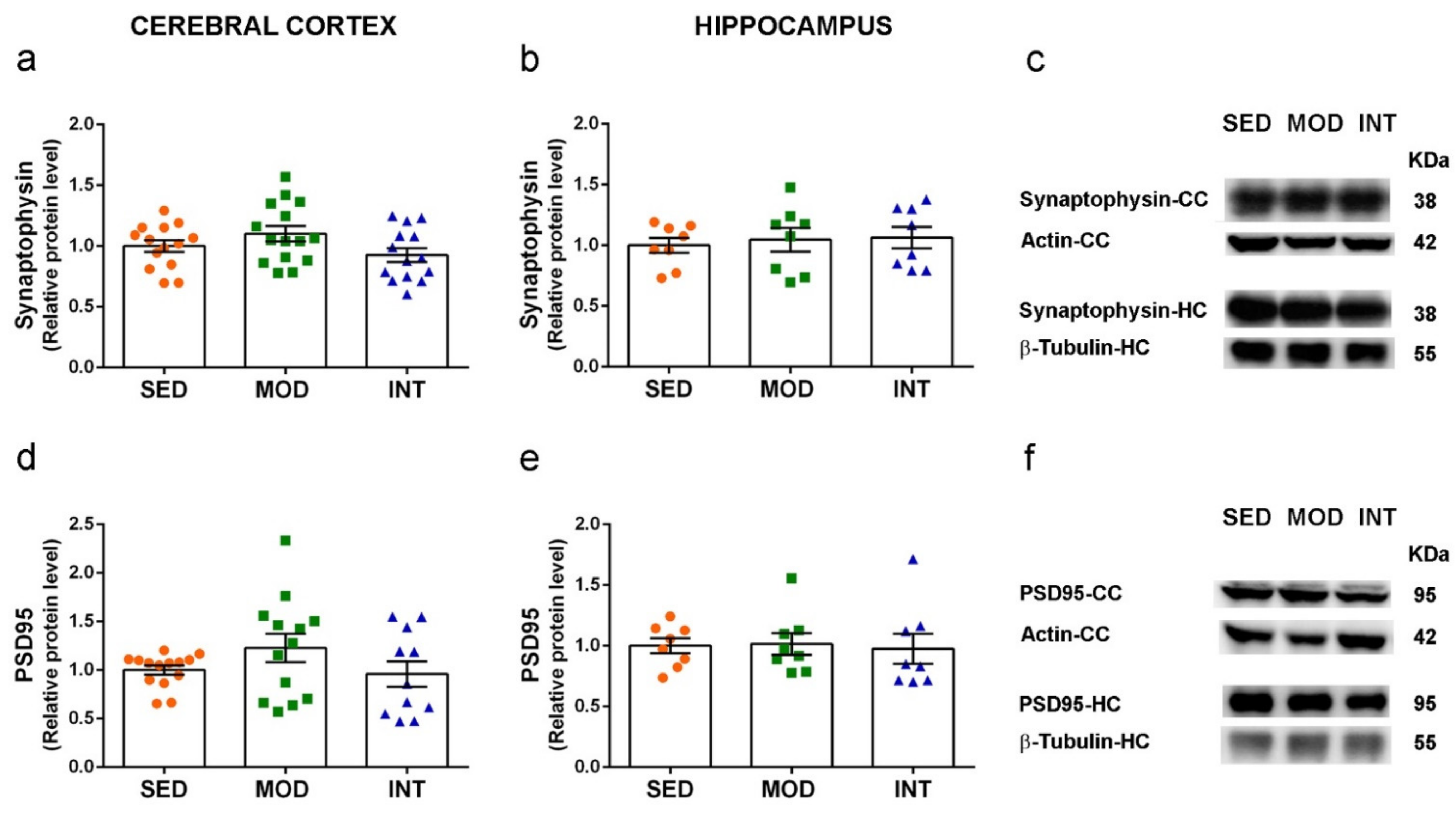 Antioxidants 11 01891 g006
