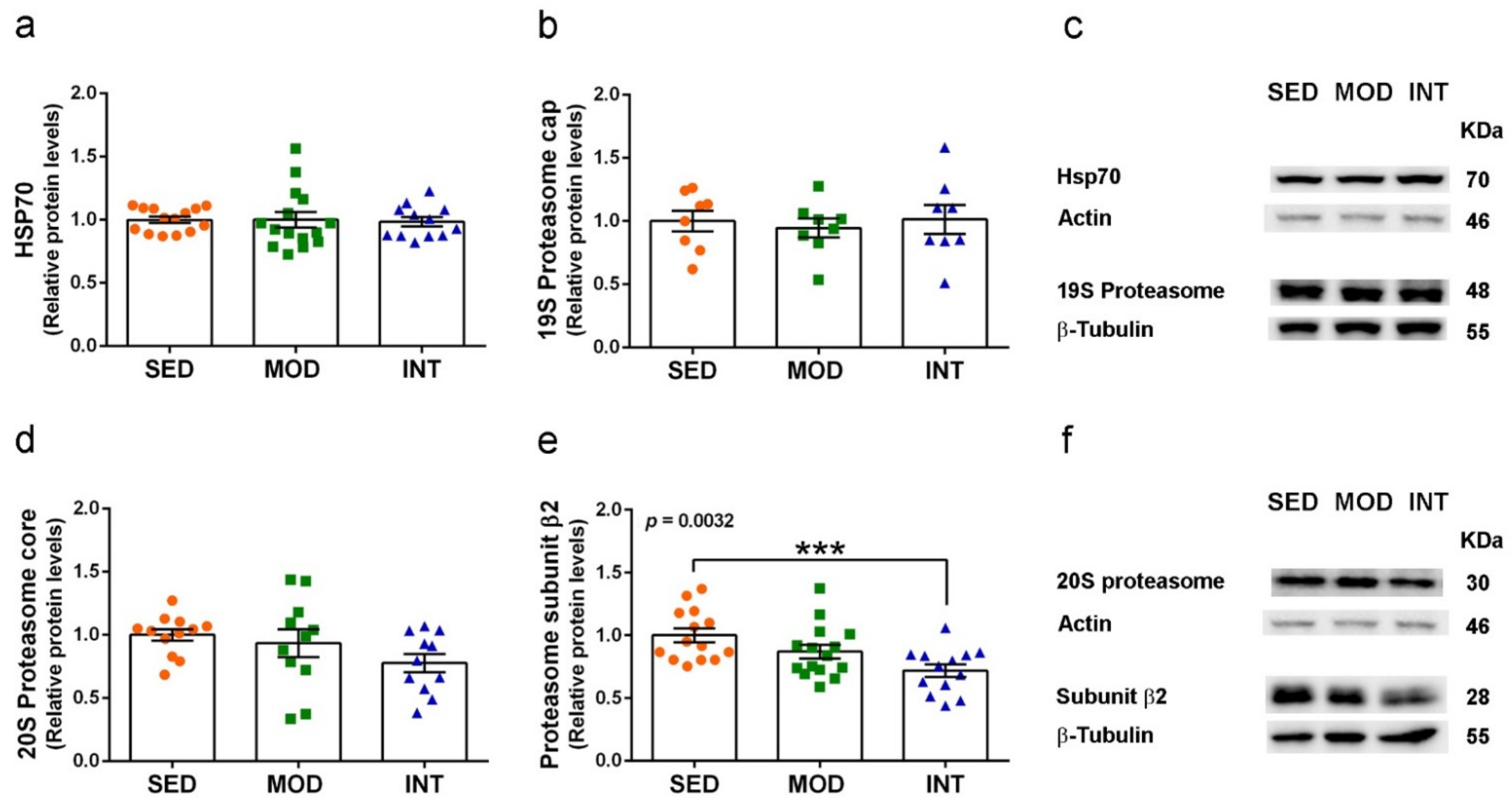 Antioxidants 11 01891 g008
