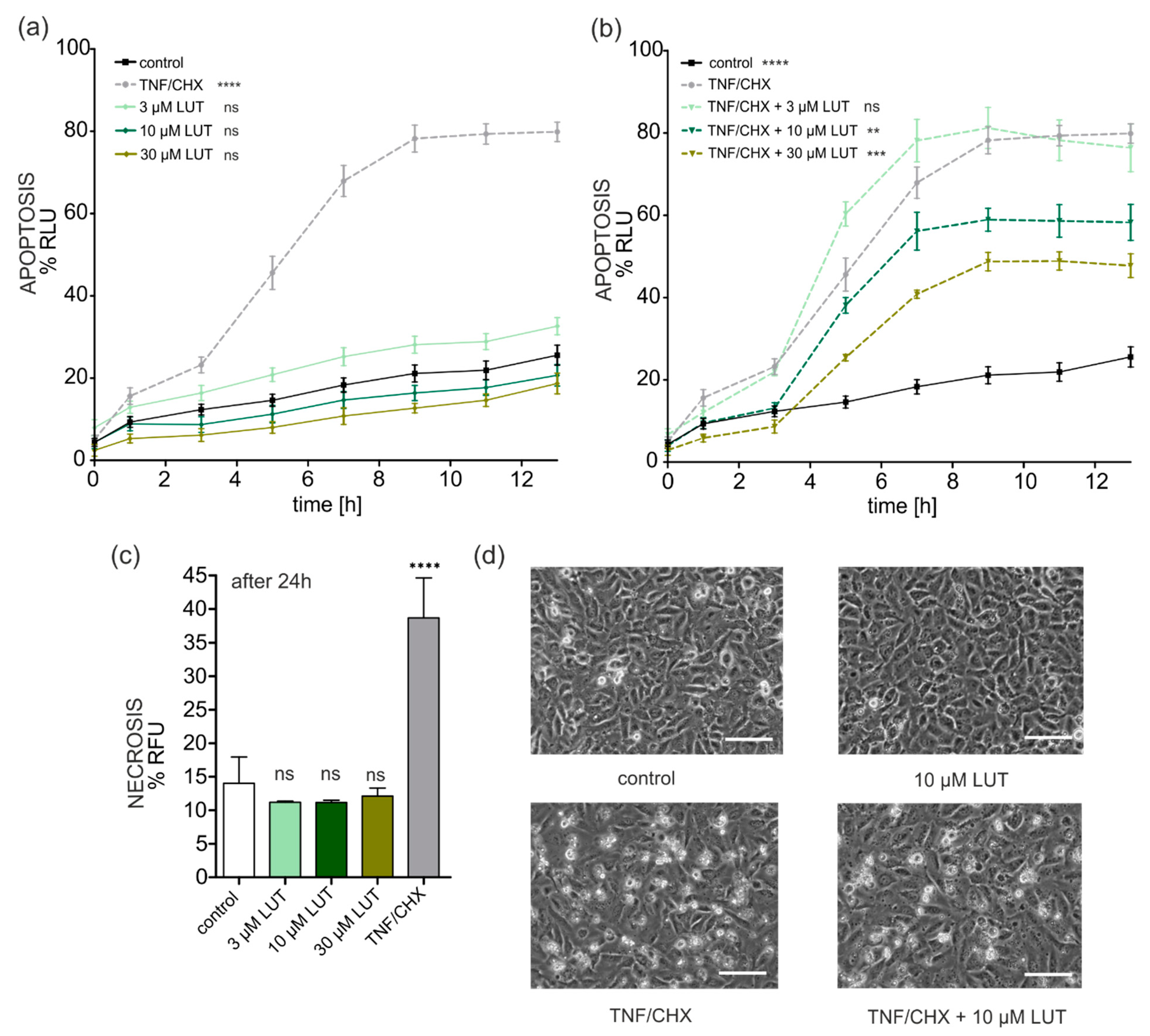 Antioxidants 11 01892 g005
