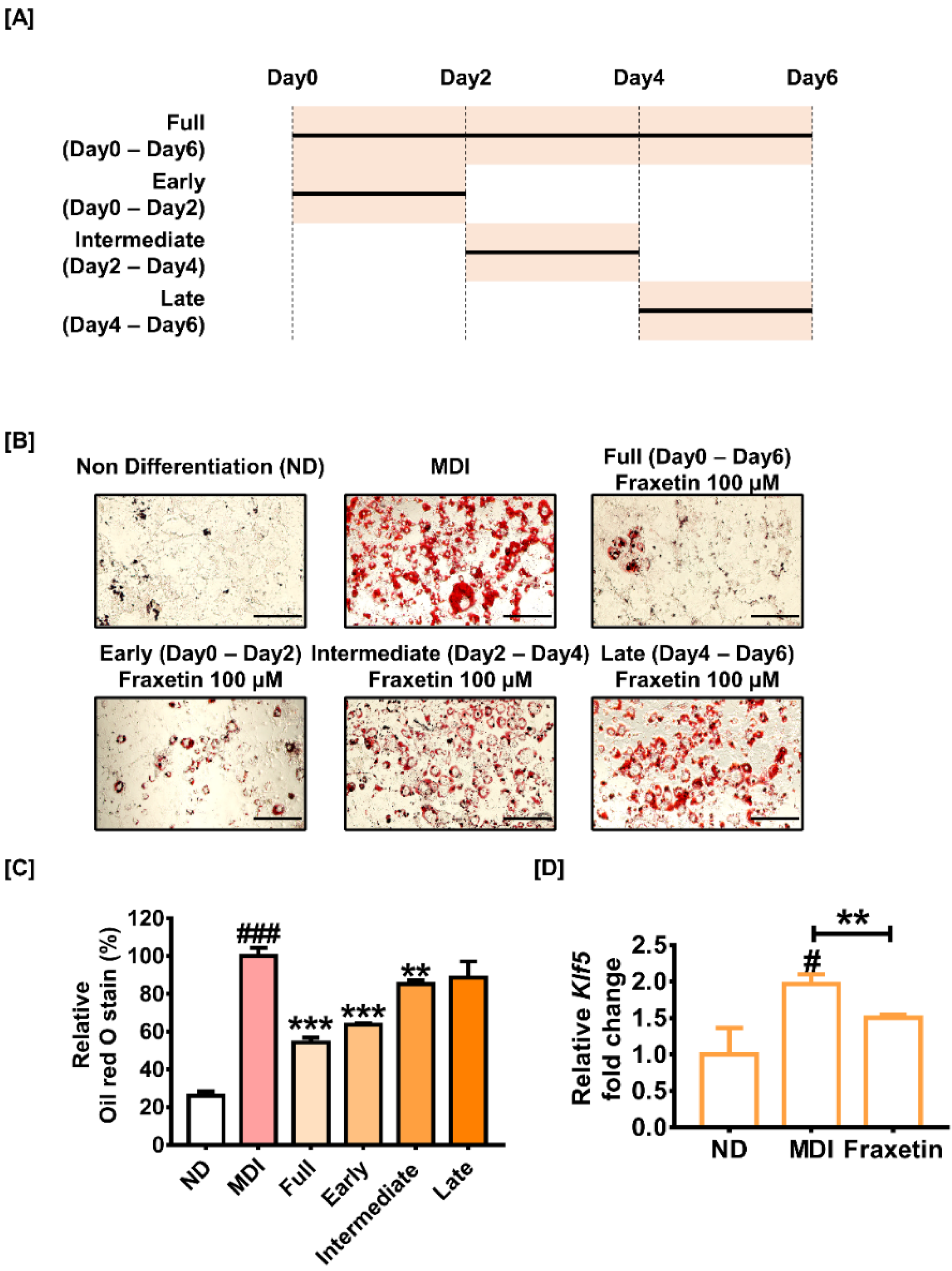 Antioxidants 11 01893 g003