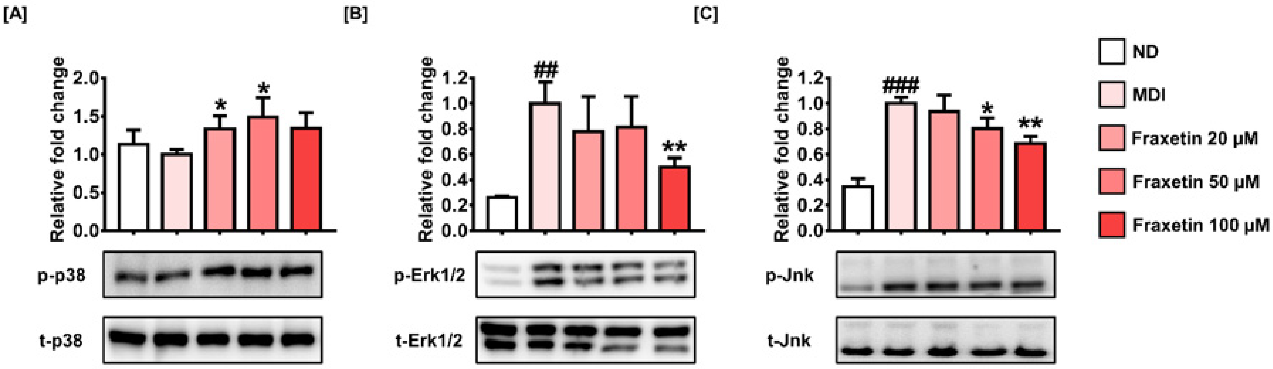 Antioxidants 11 01893 g006