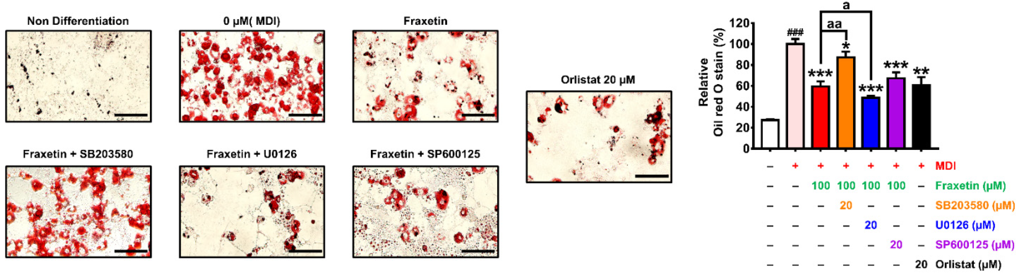 Antioxidants 11 01893 g007