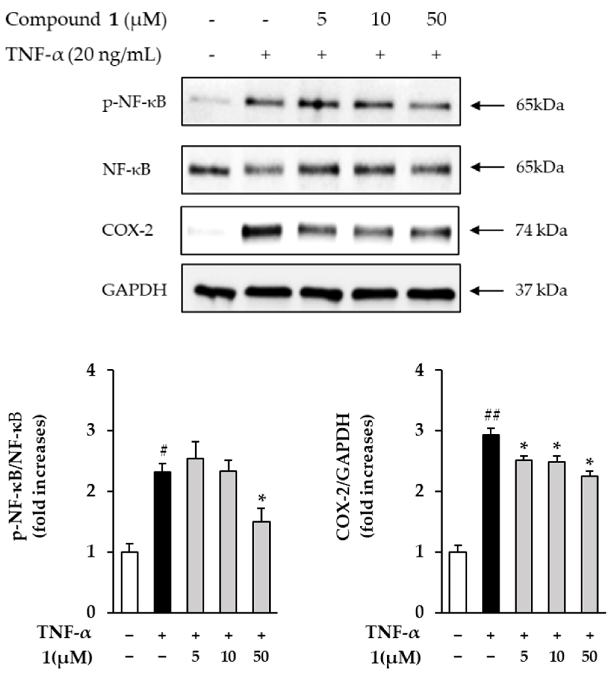 Antioxidants 11 01894 g008