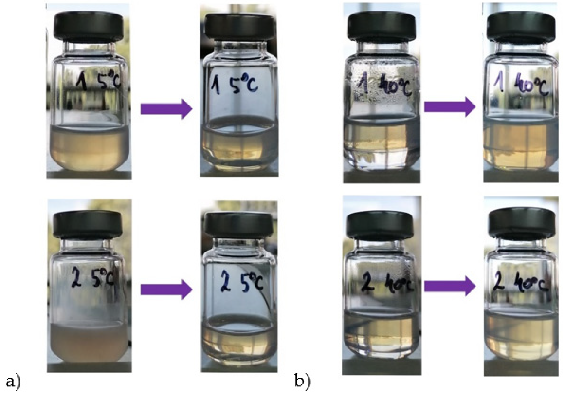 Antioxidants 11 01898 g002 Antioxidants 11 01898 g002