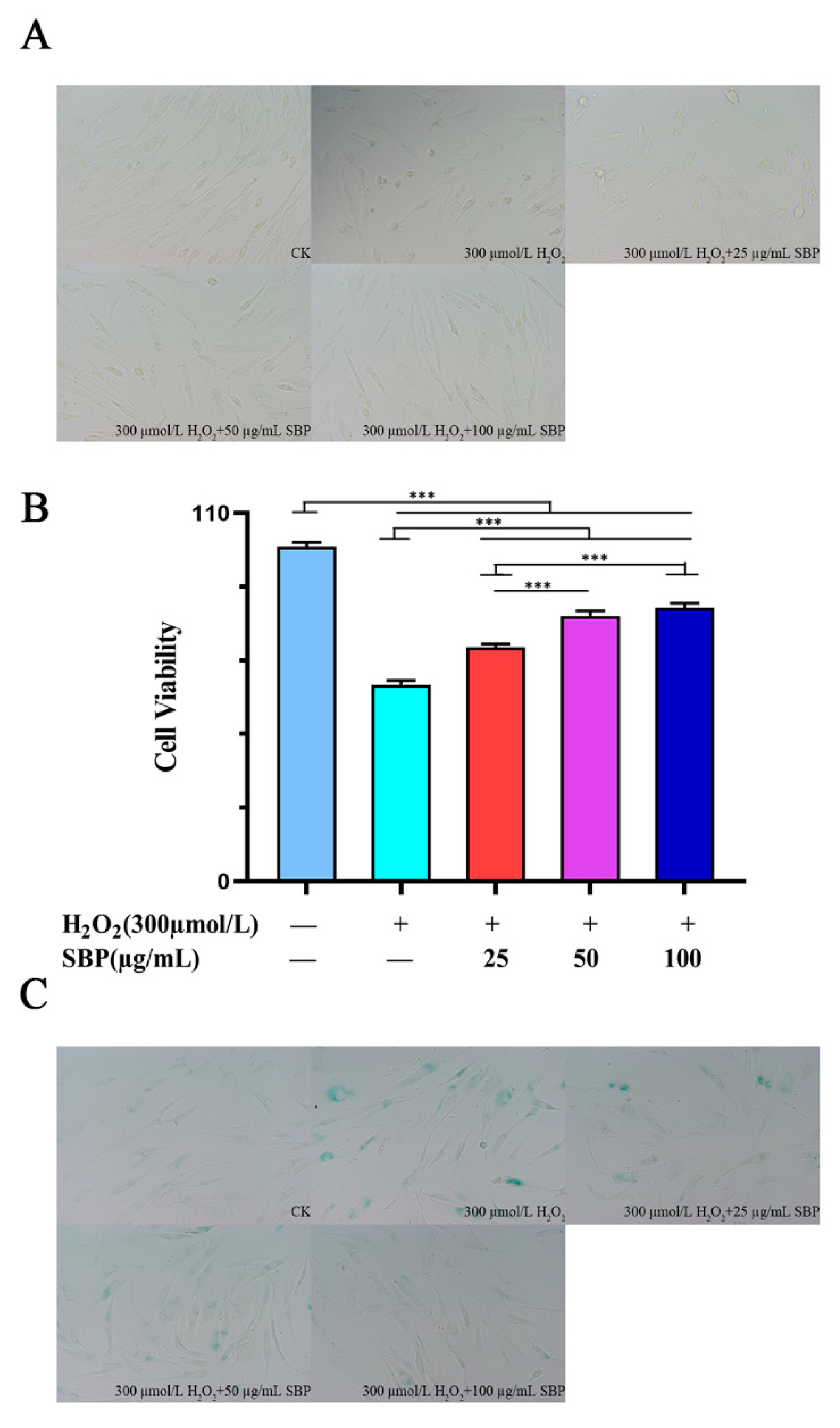 Antioxidants 11 01900 g002