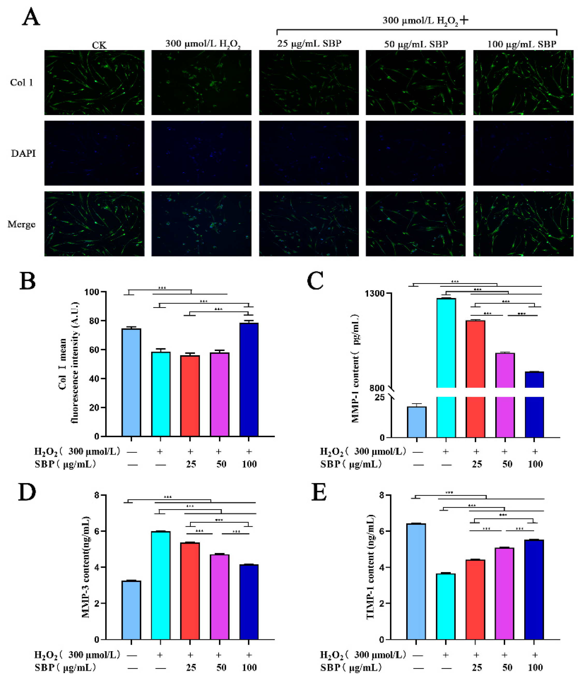 Antioxidants 11 01900 g004