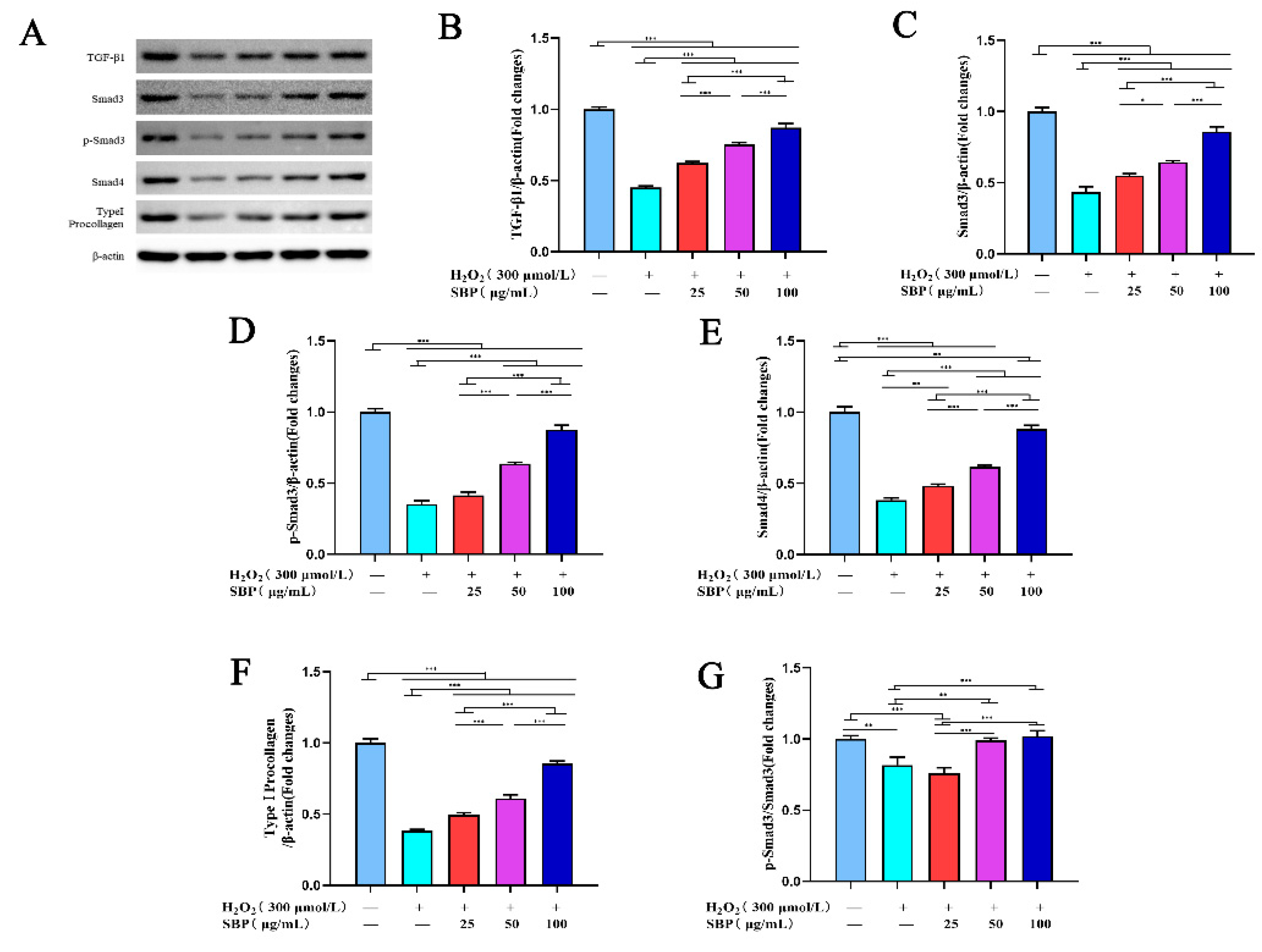 Antioxidants 11 01900 g005