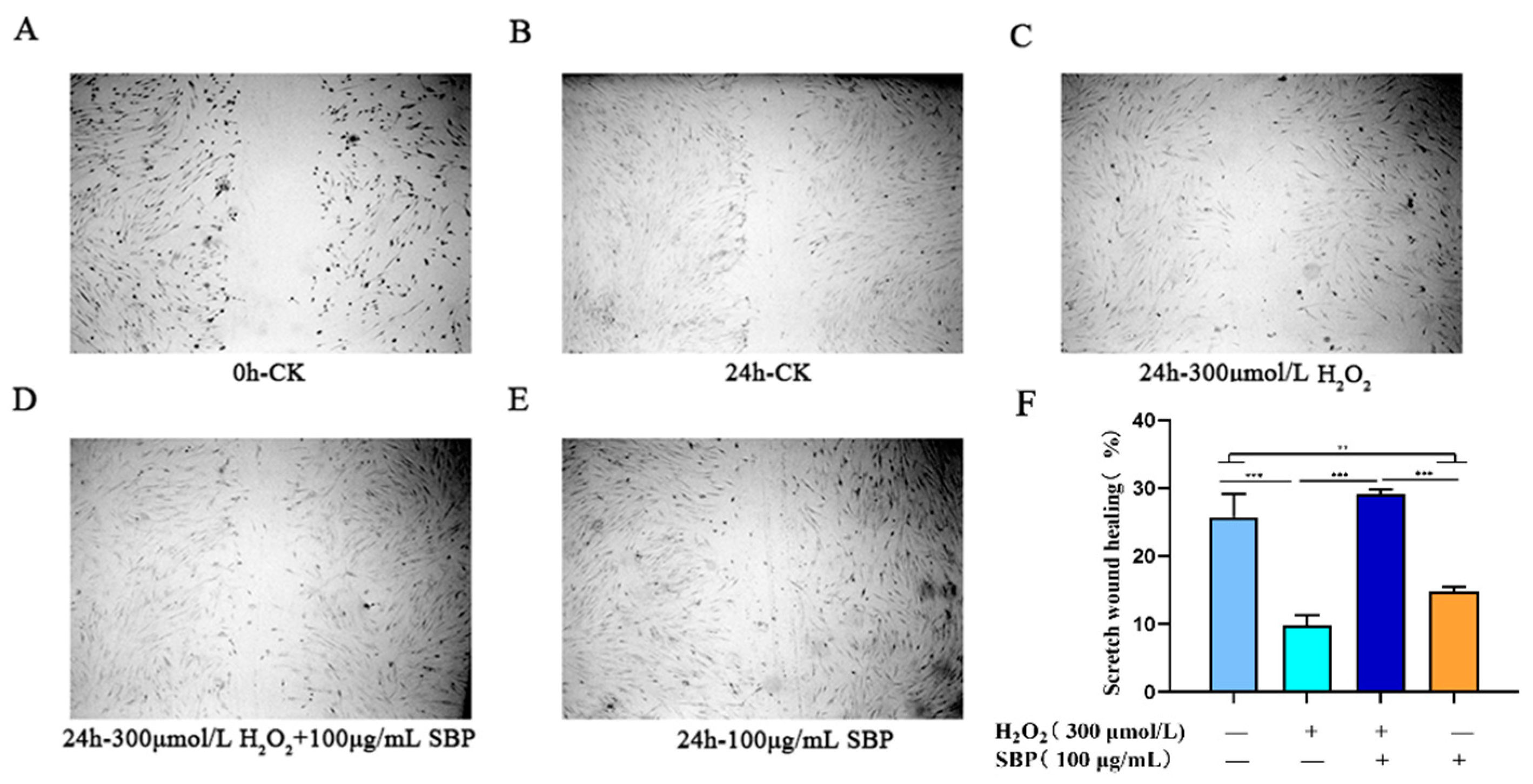 Antioxidants 11 01900 g006