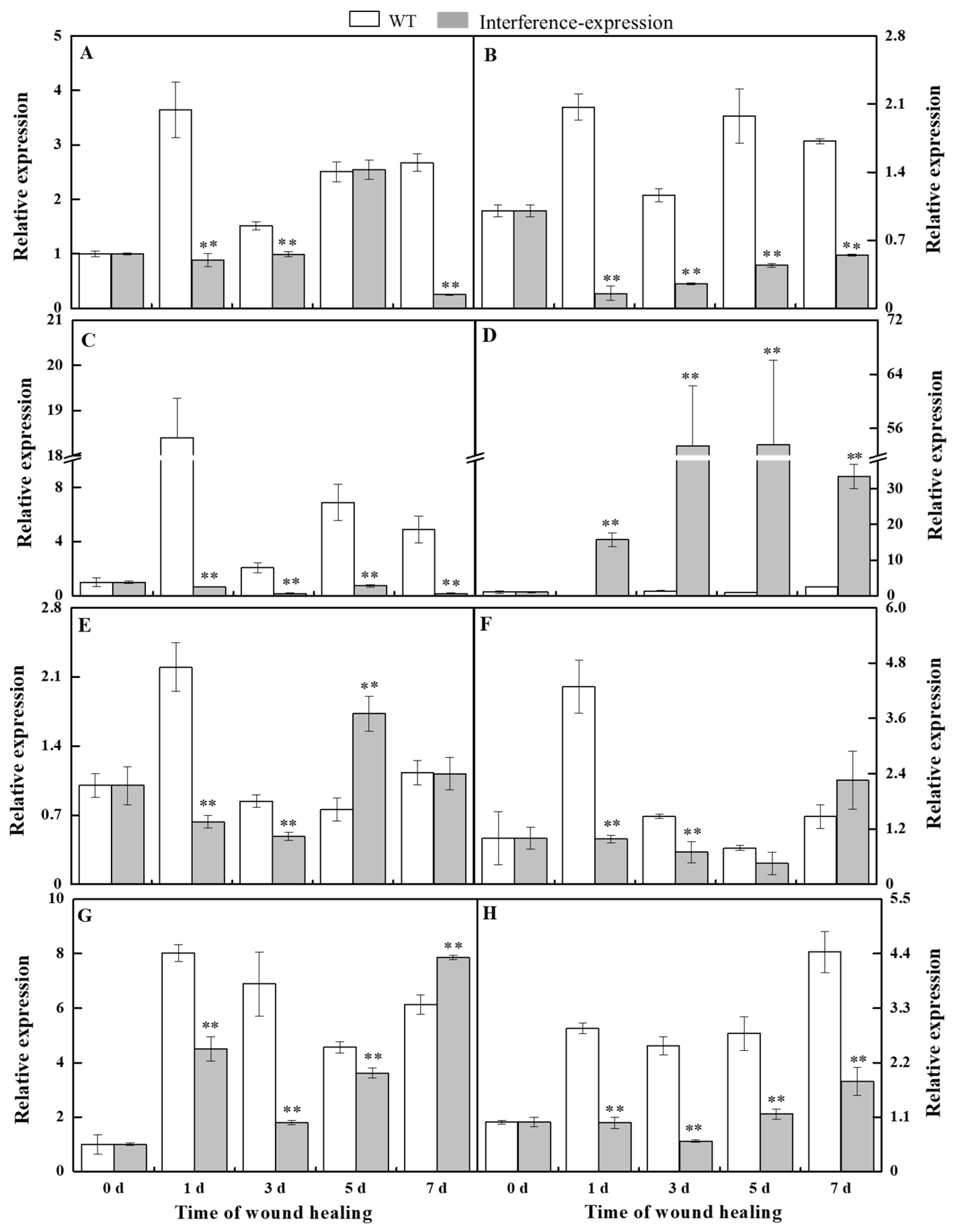 Antioxidants 11 01901 g002