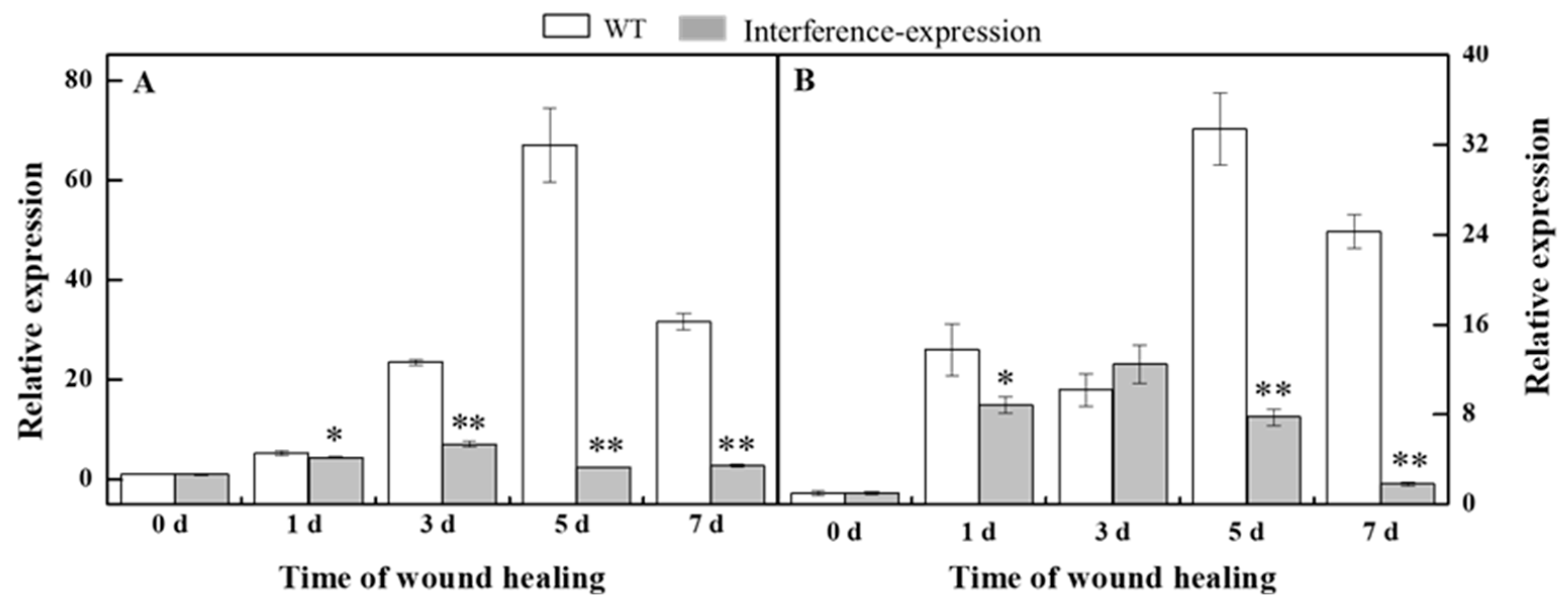 Antioxidants 11 01901 g004