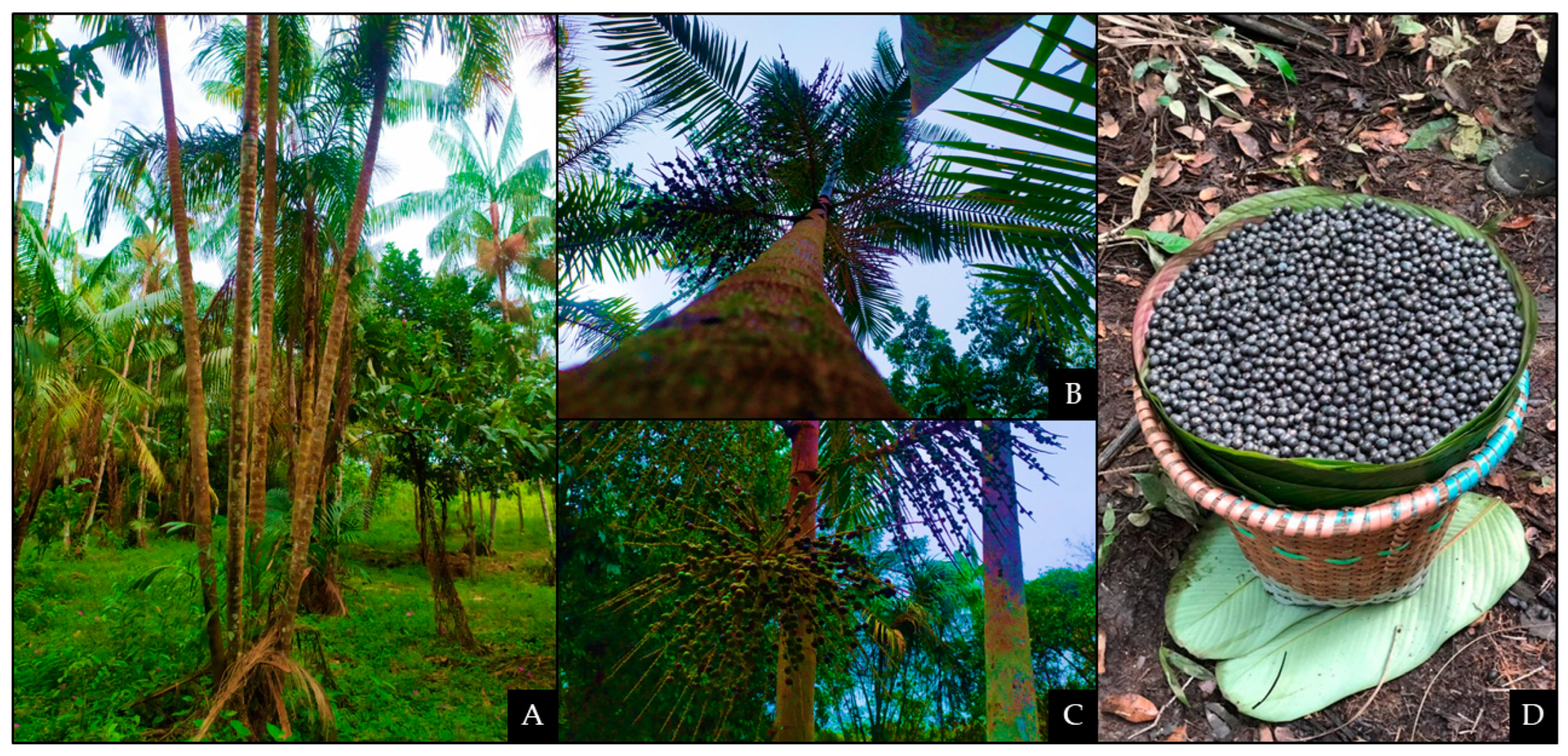 Antioxidants 11 01902 g001