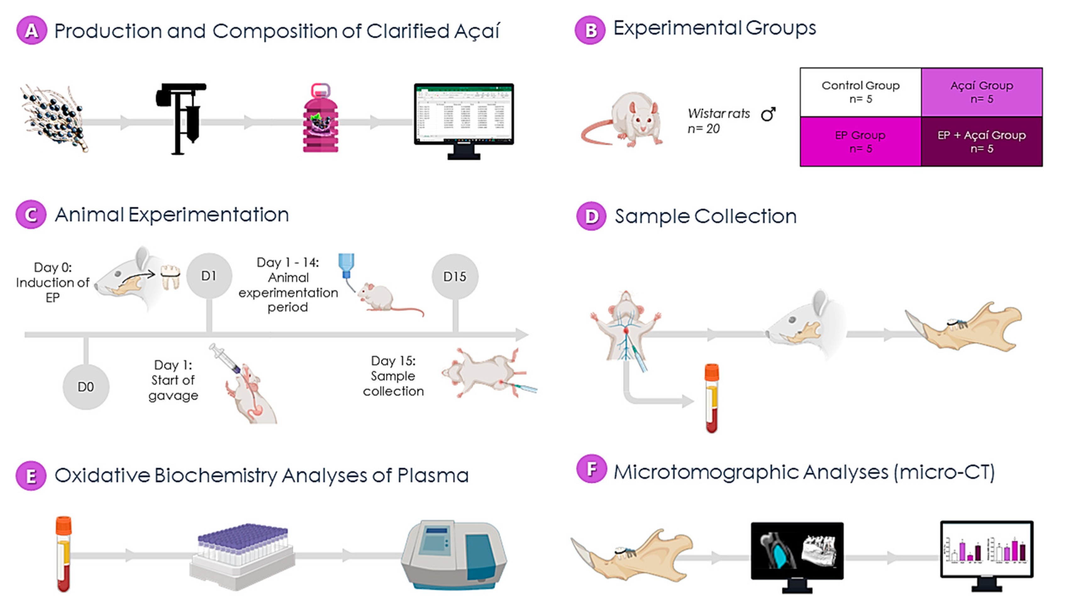 Antioxidants 11 01902 g002