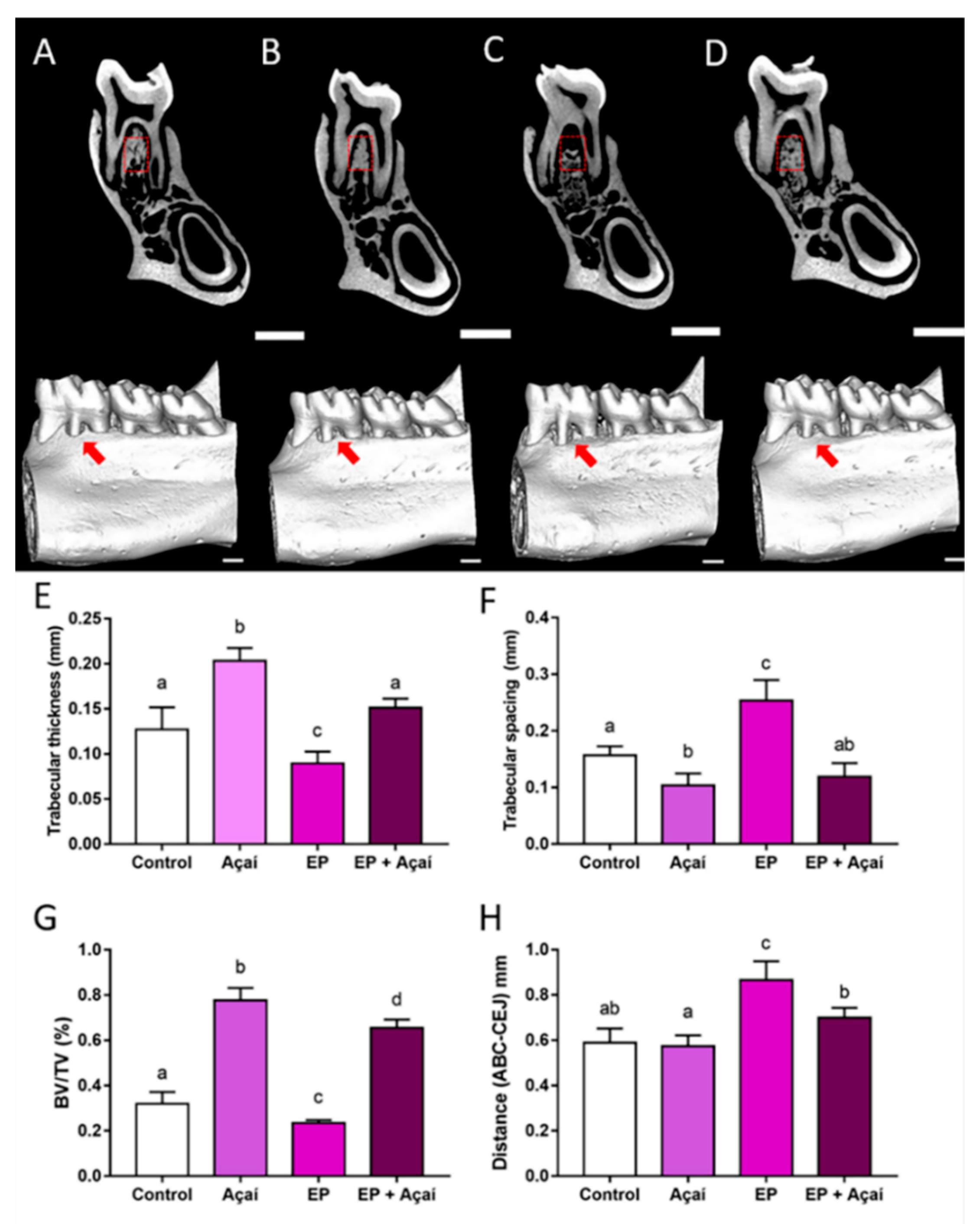 Antioxidants 11 01902 g004