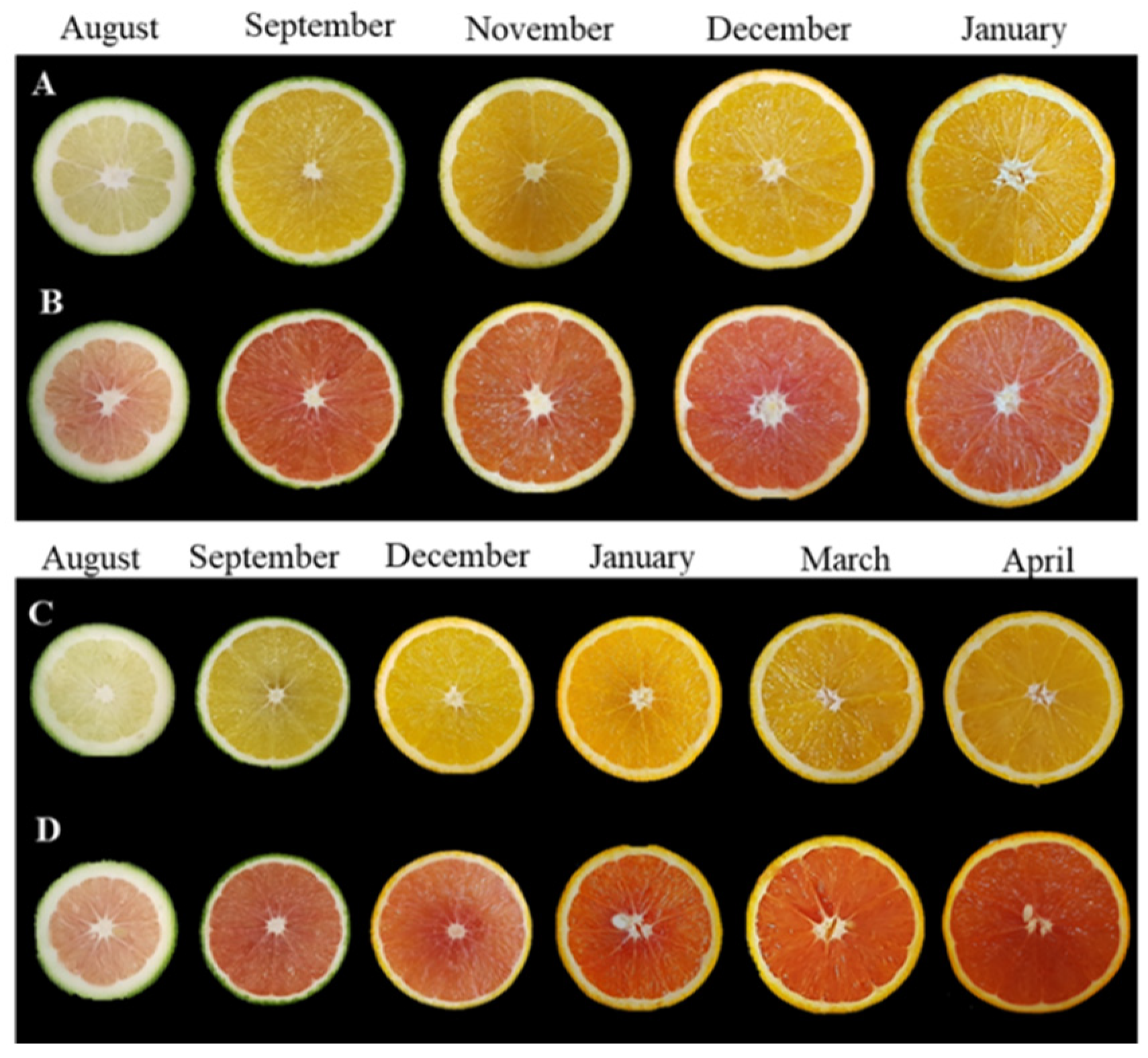 Antioxidants 11 01905 g001