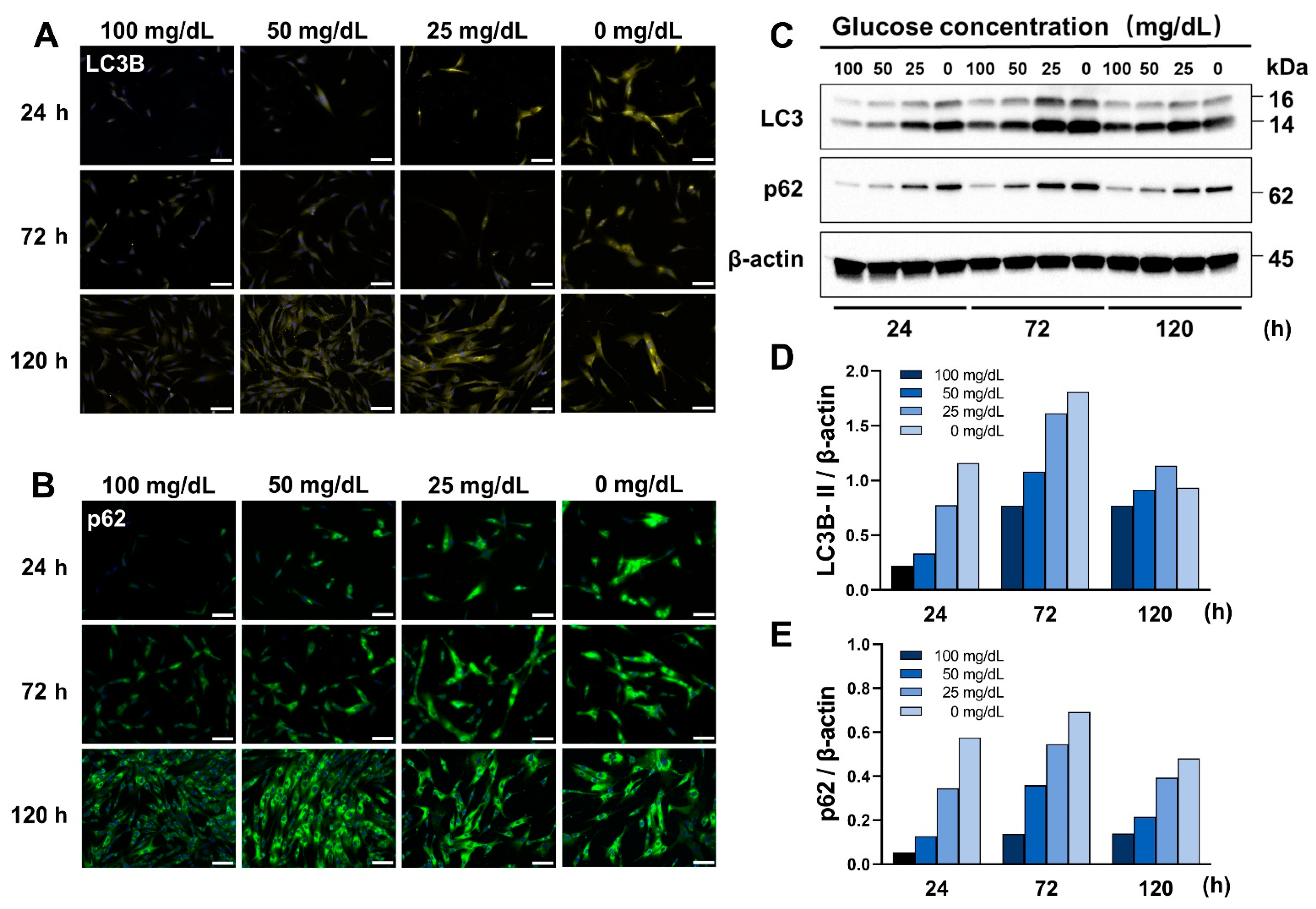 Antioxidants 11 01907 g003