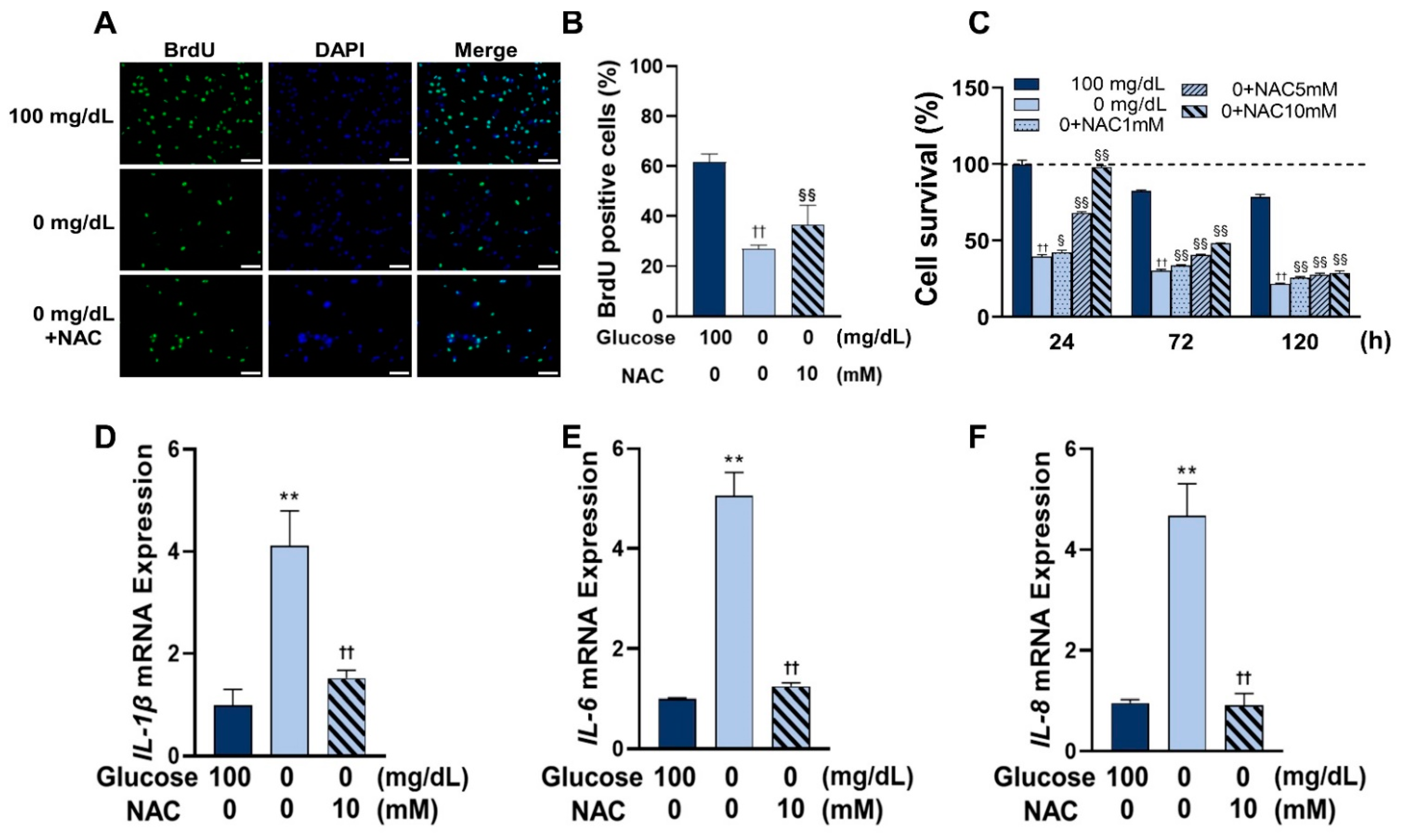 Antioxidants 11 01907 g005