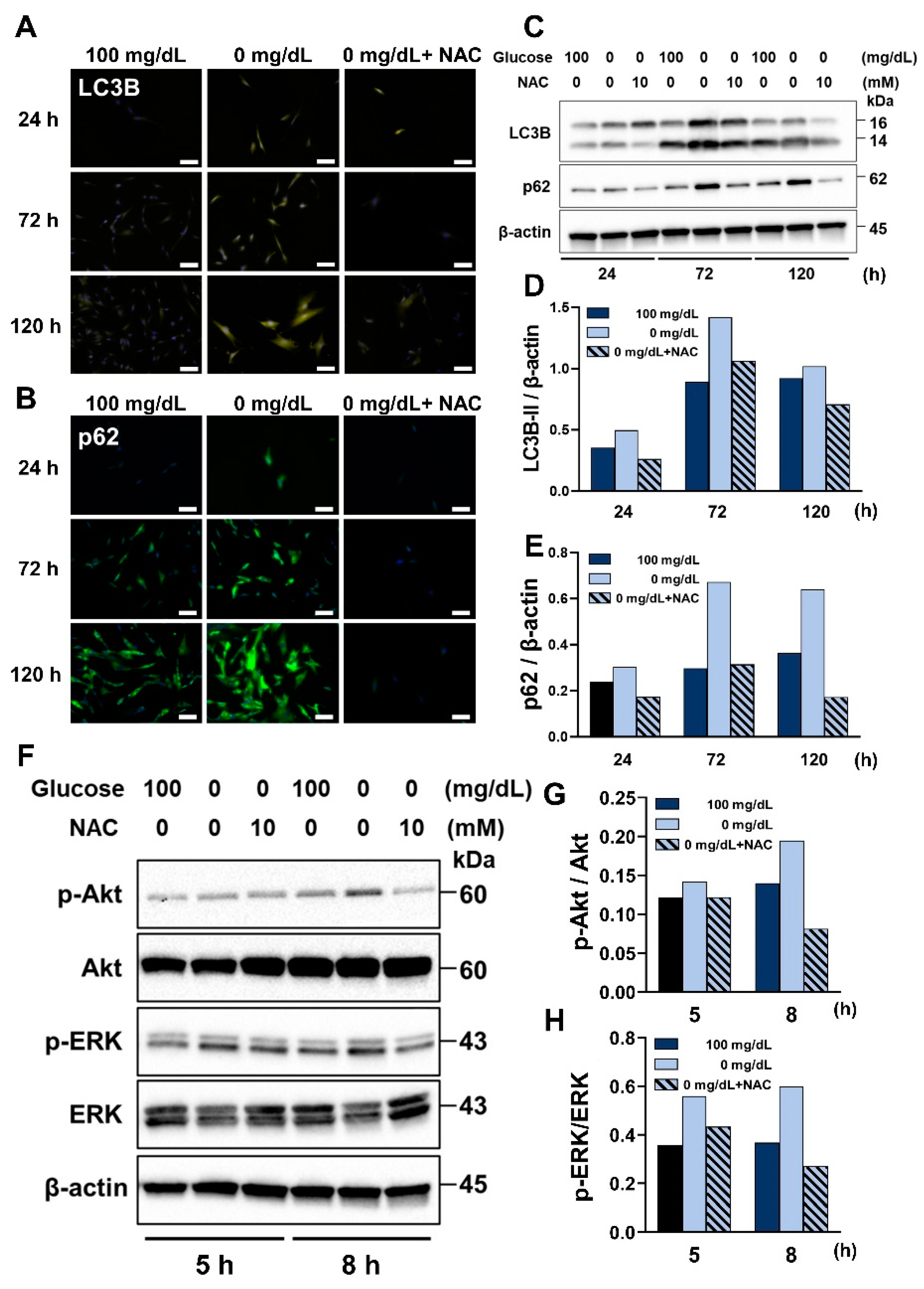 Antioxidants 11 01907 g006