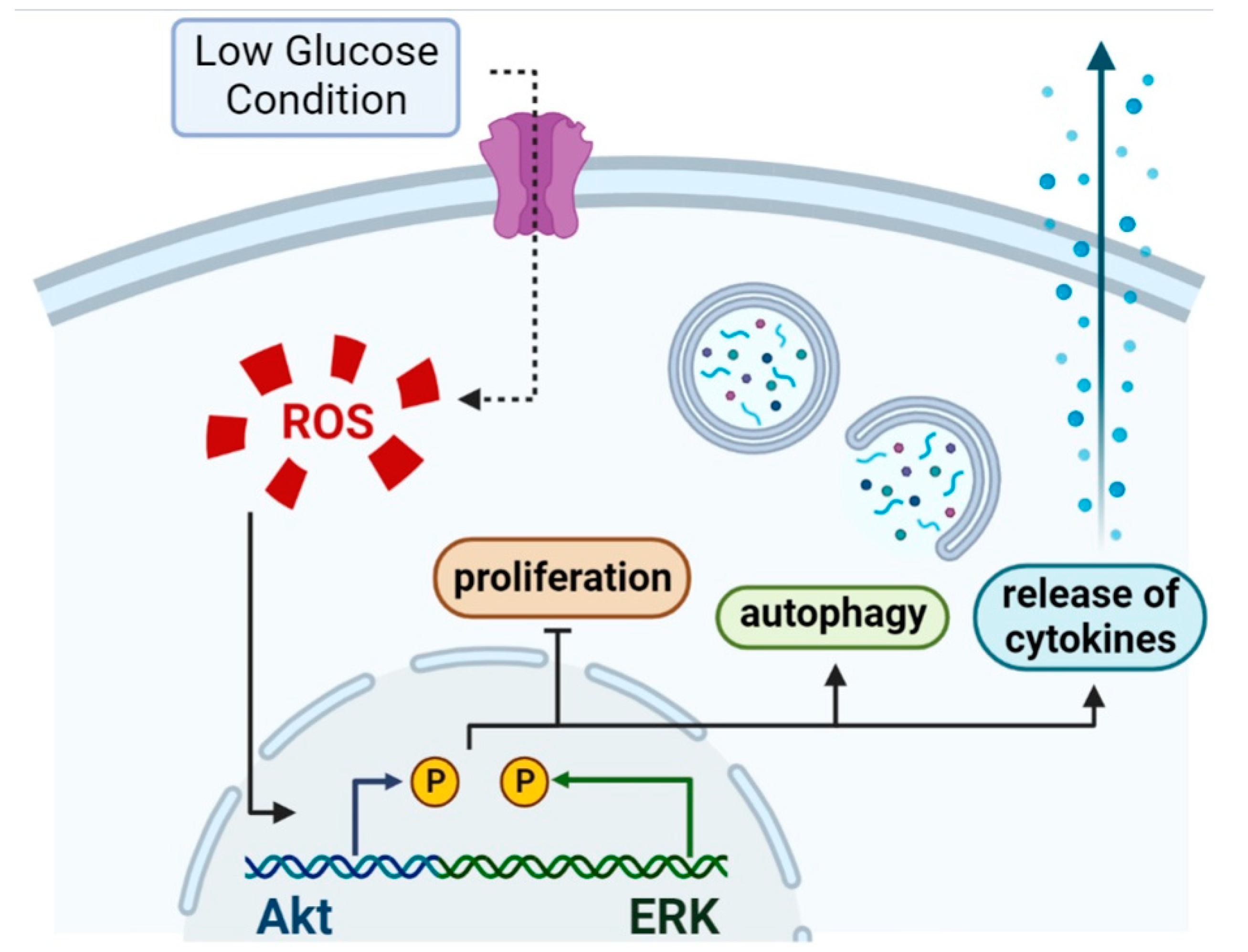 Antioxidants 11 01907 g007