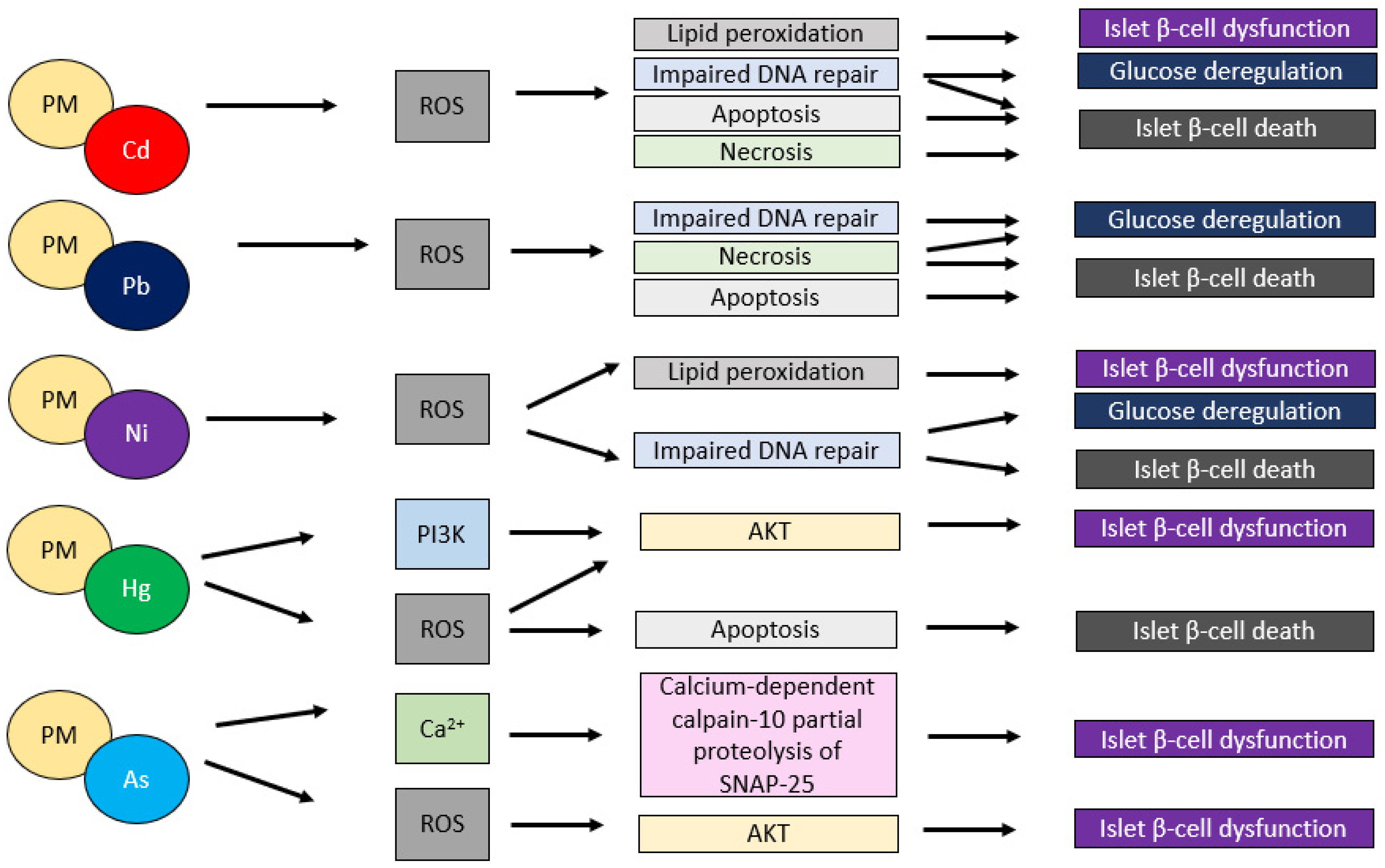 Antioxidants 11 01908 g002