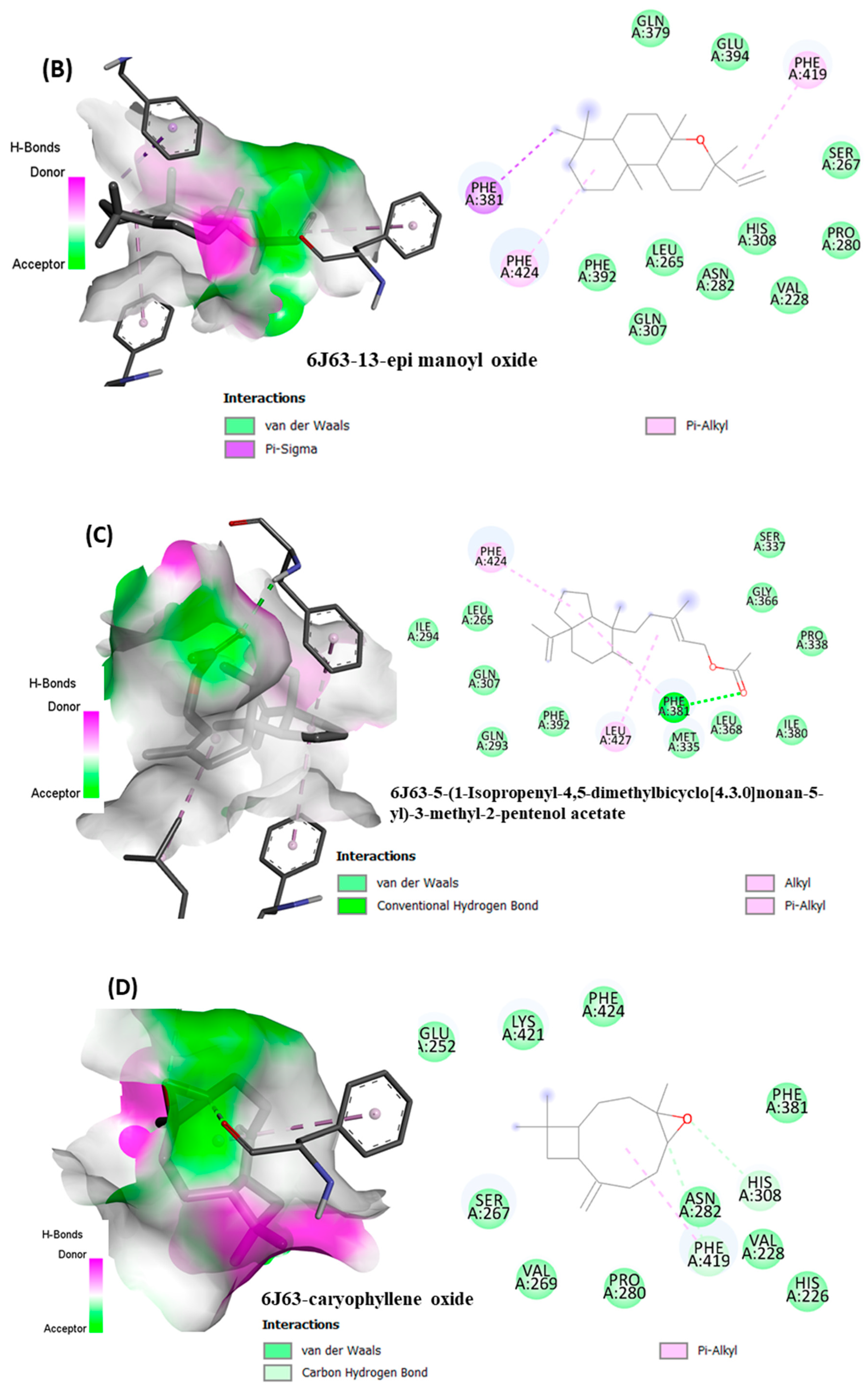 Antioxidants 11 01911 g006b
