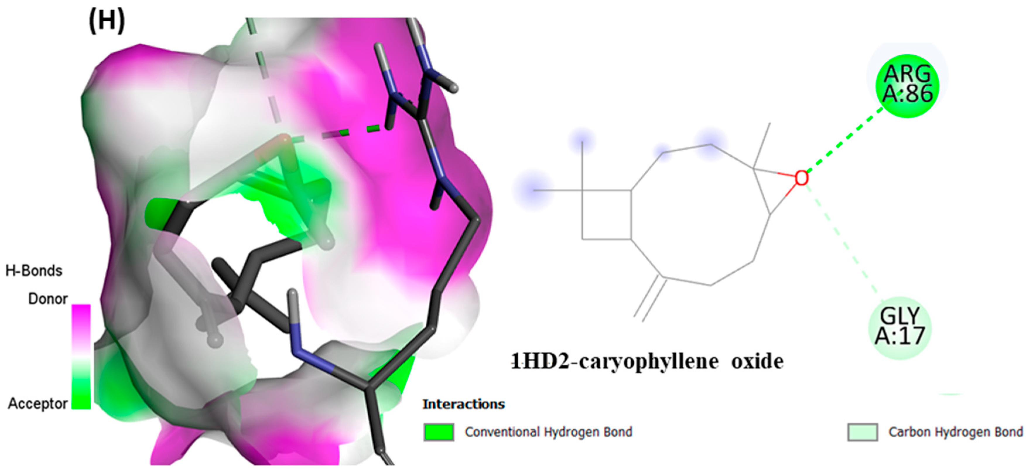 Antioxidants 11 01911 g006d