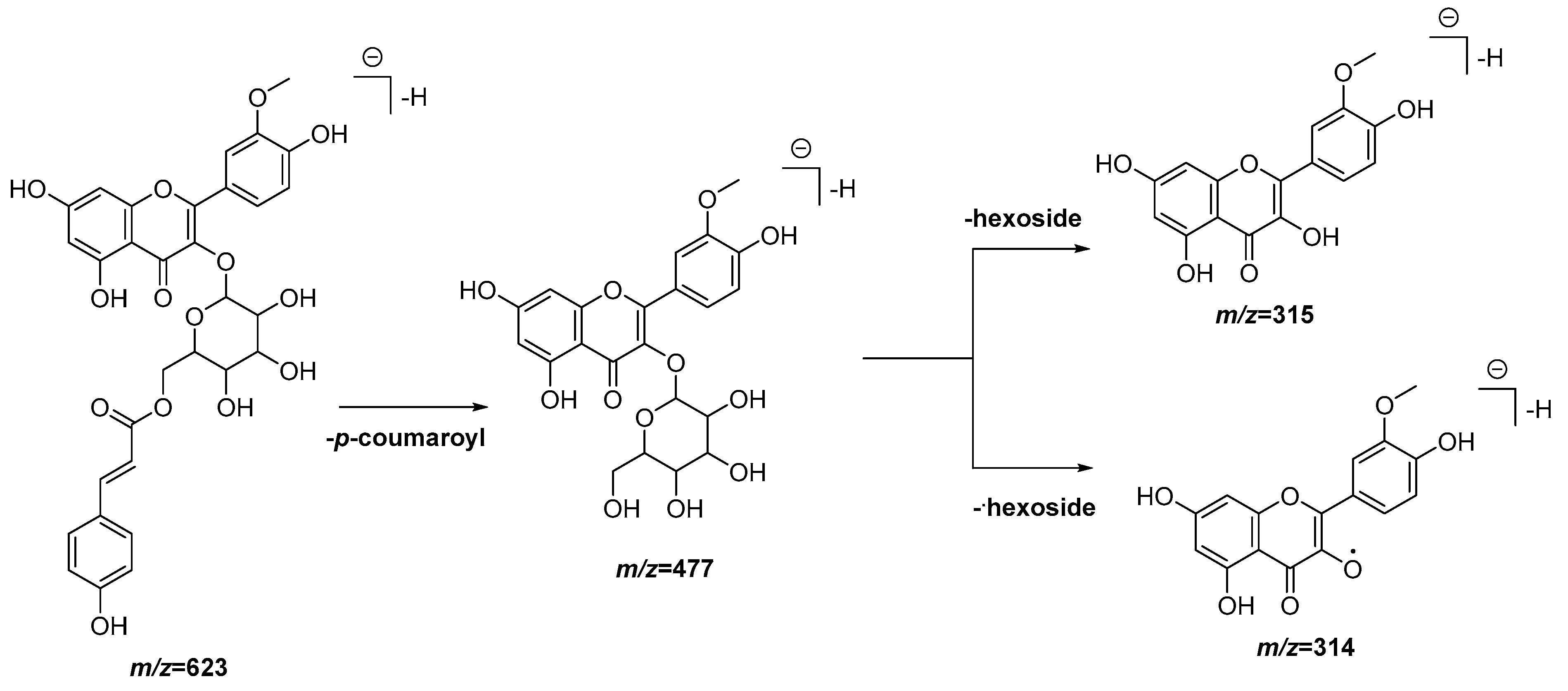 Antioxidants 11 01915 g005