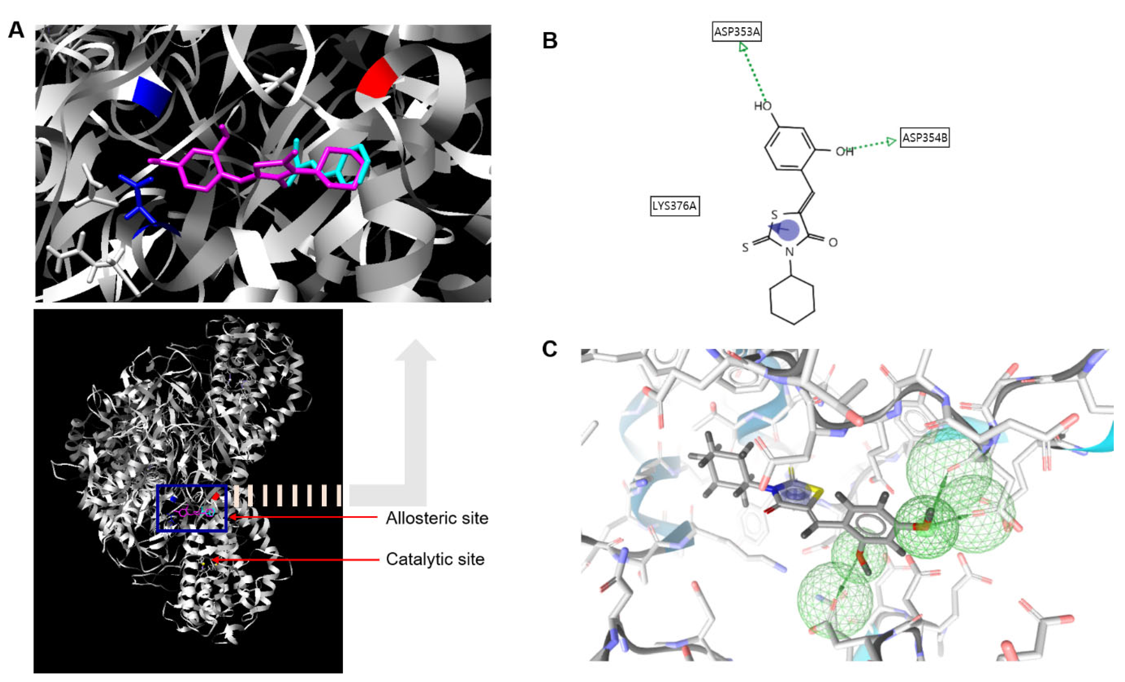 Antioxidants 11 01918 g003