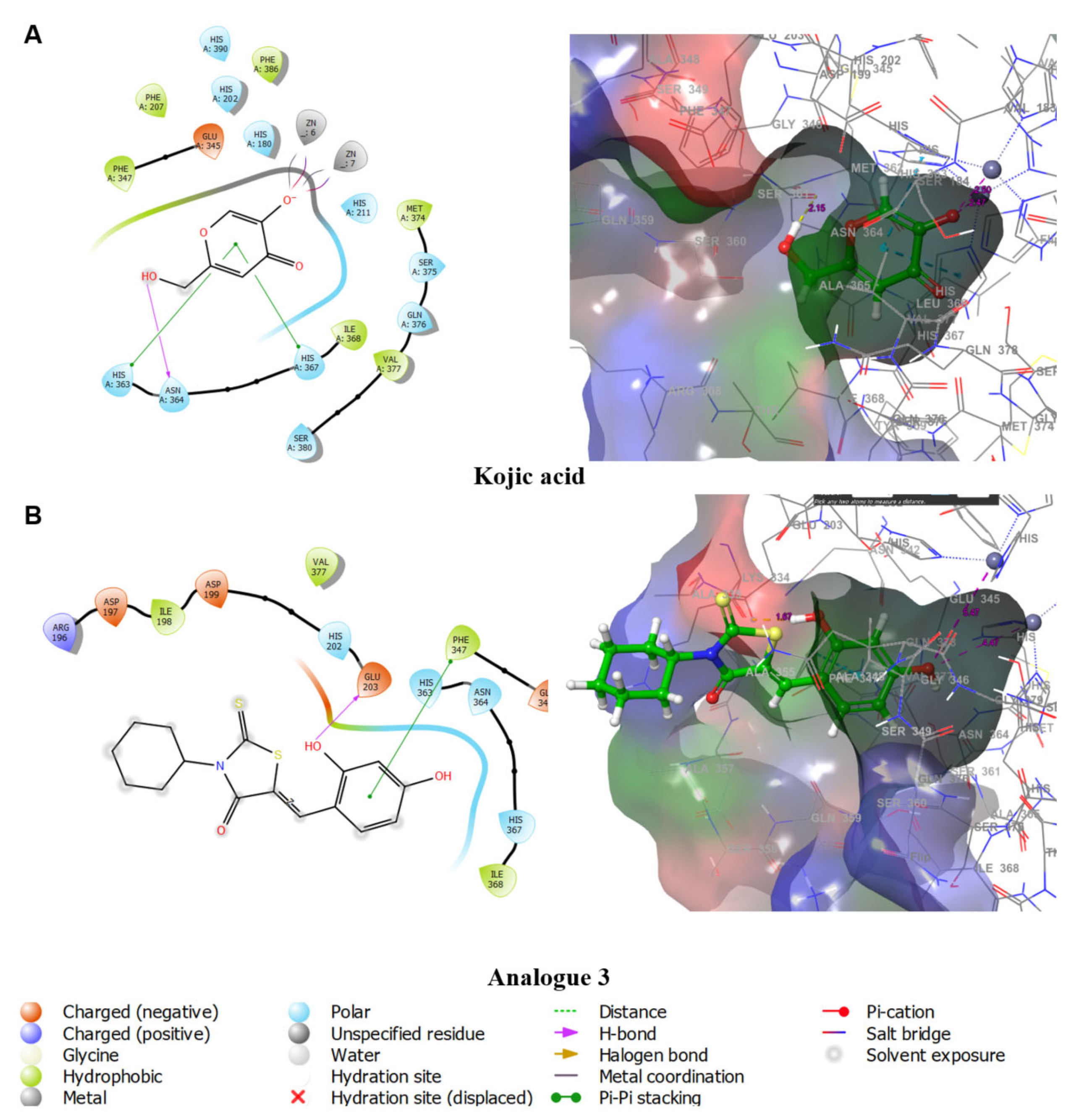 Antioxidants 11 01918 g004