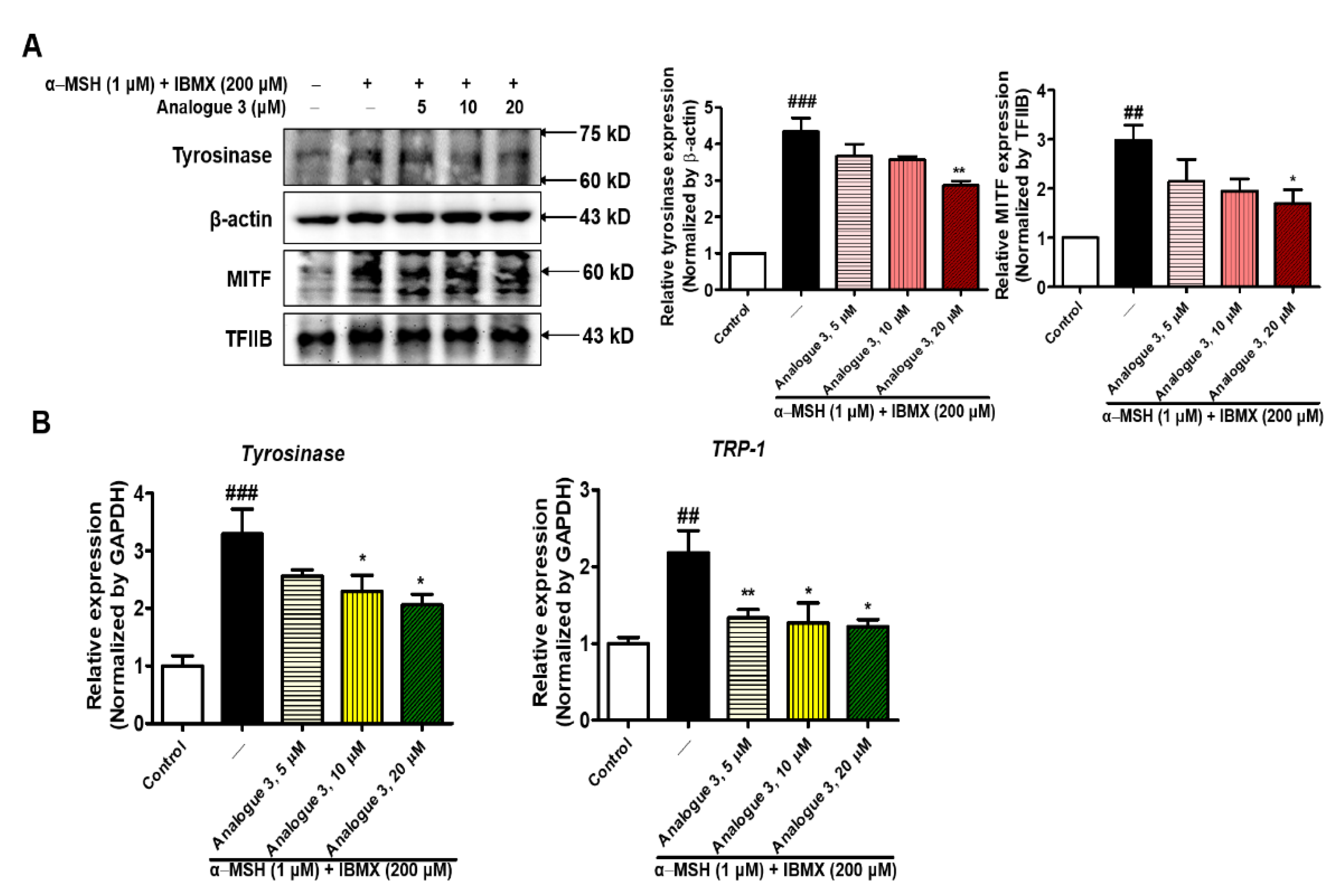 Antioxidants 11 01918 g012