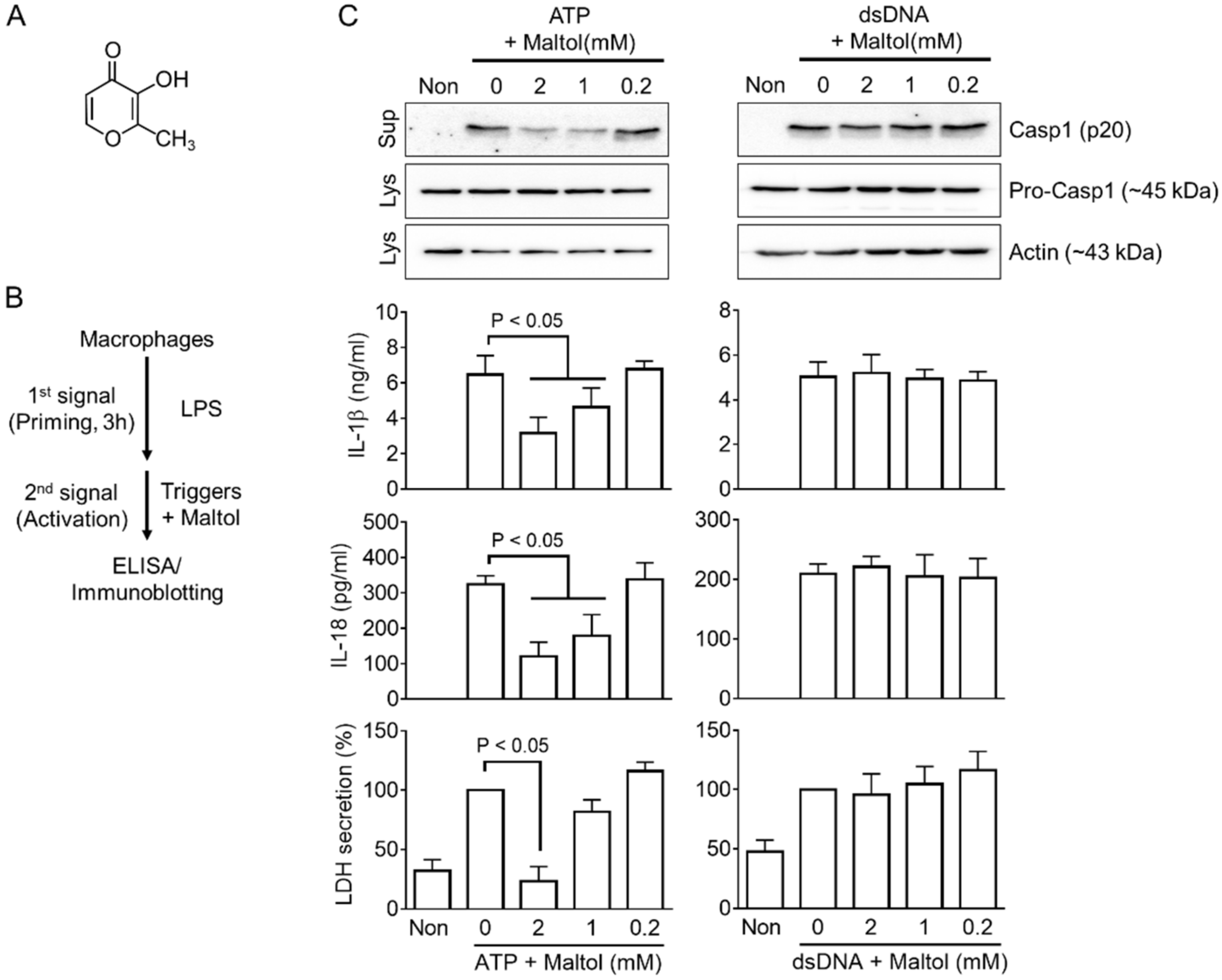 Antioxidants 11 01923 g001