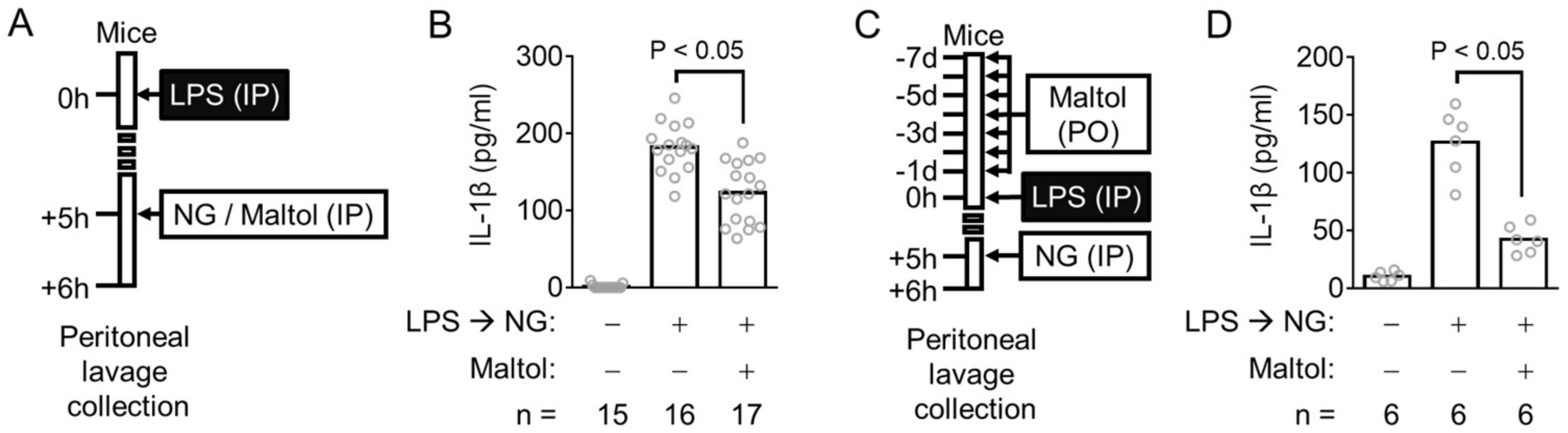 Antioxidants 11 01923 g003
