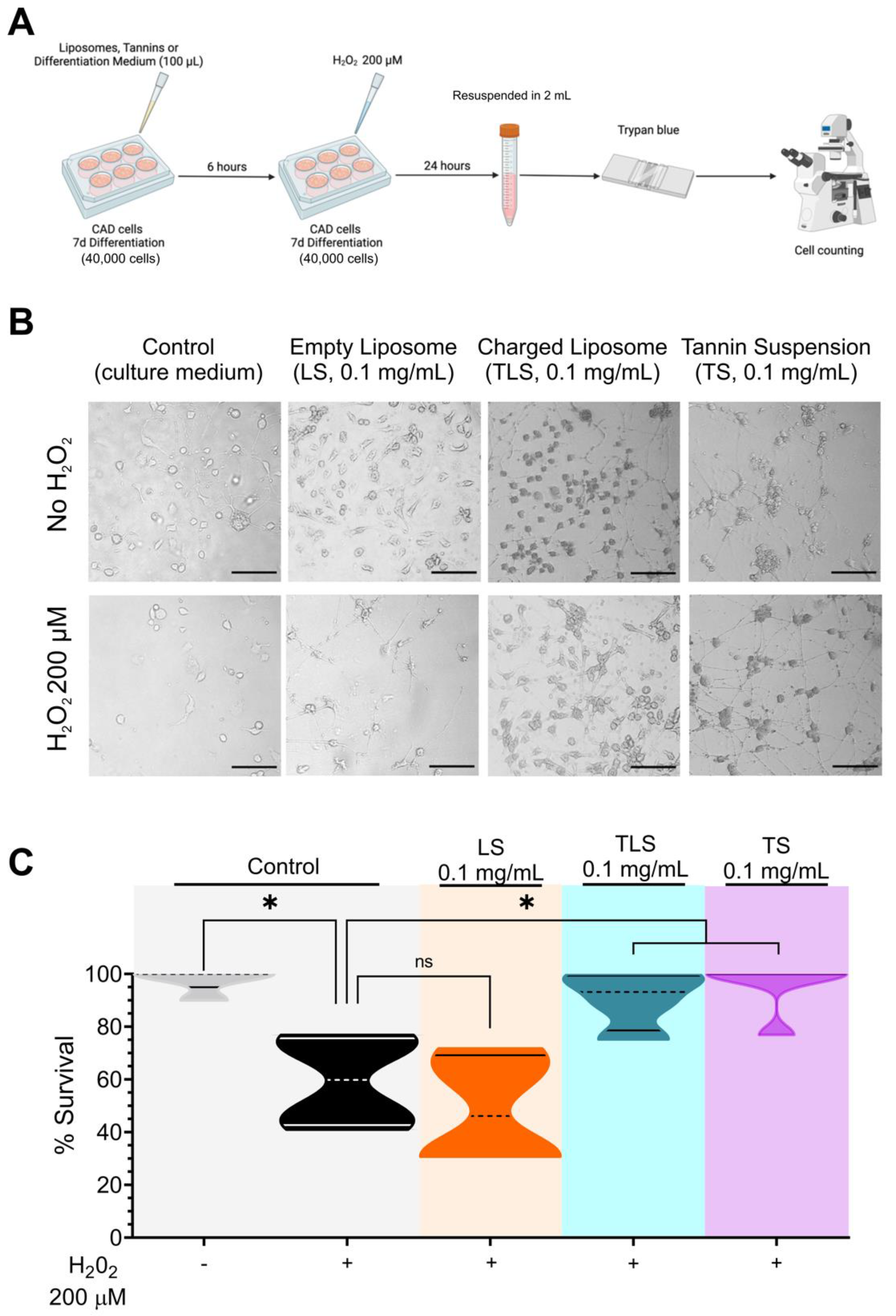 Antioxidants 11 01928 g001