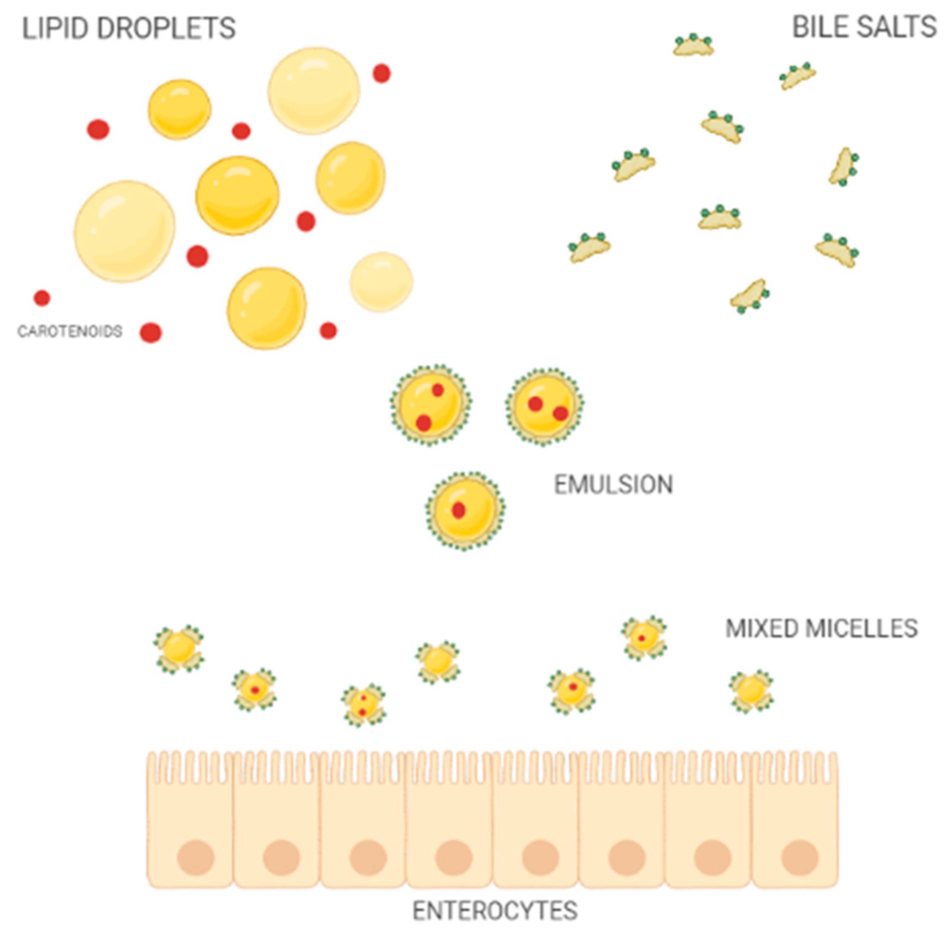 Antioxidants 11 01931 g002