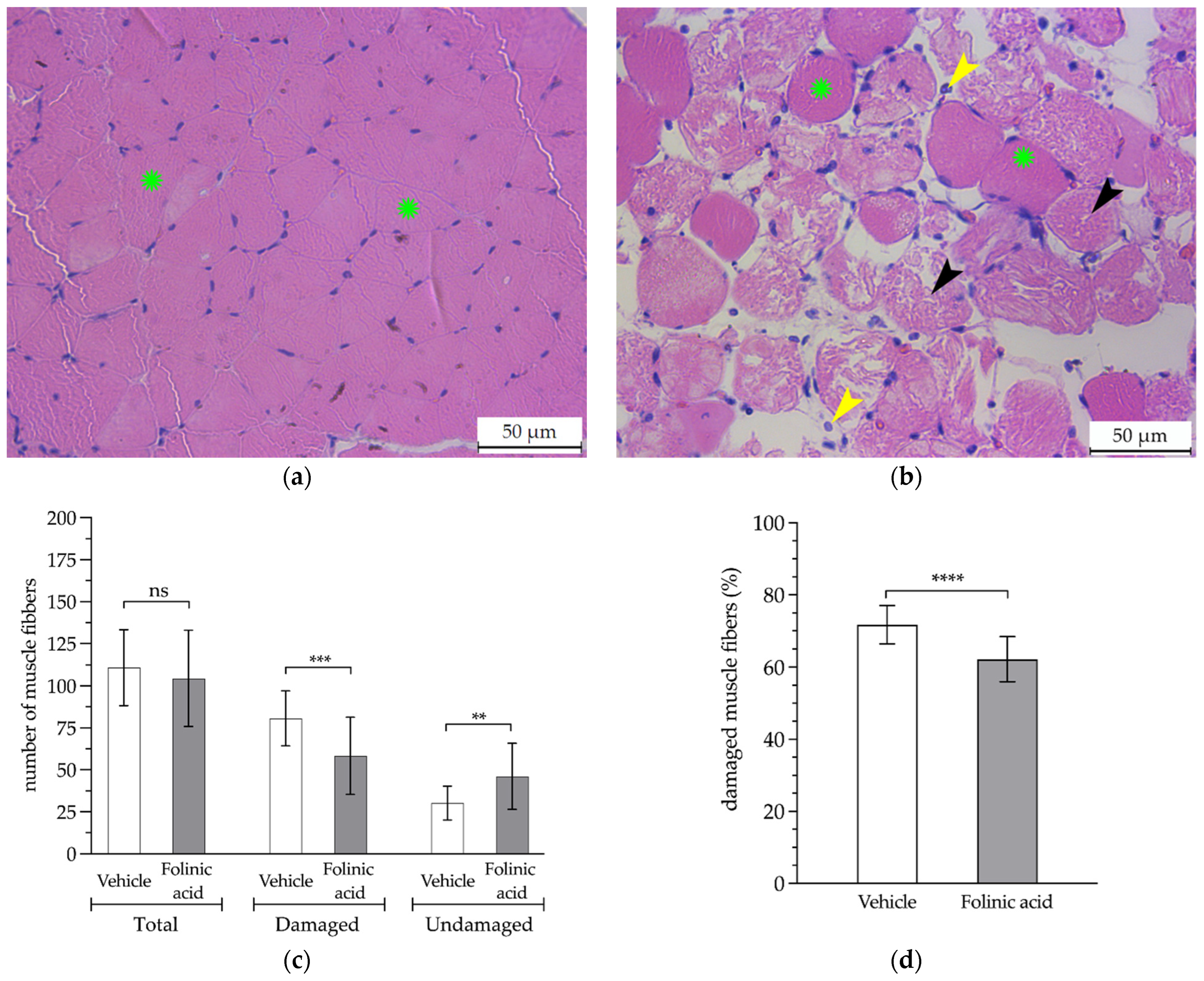 Antioxidants 11 01936 g005