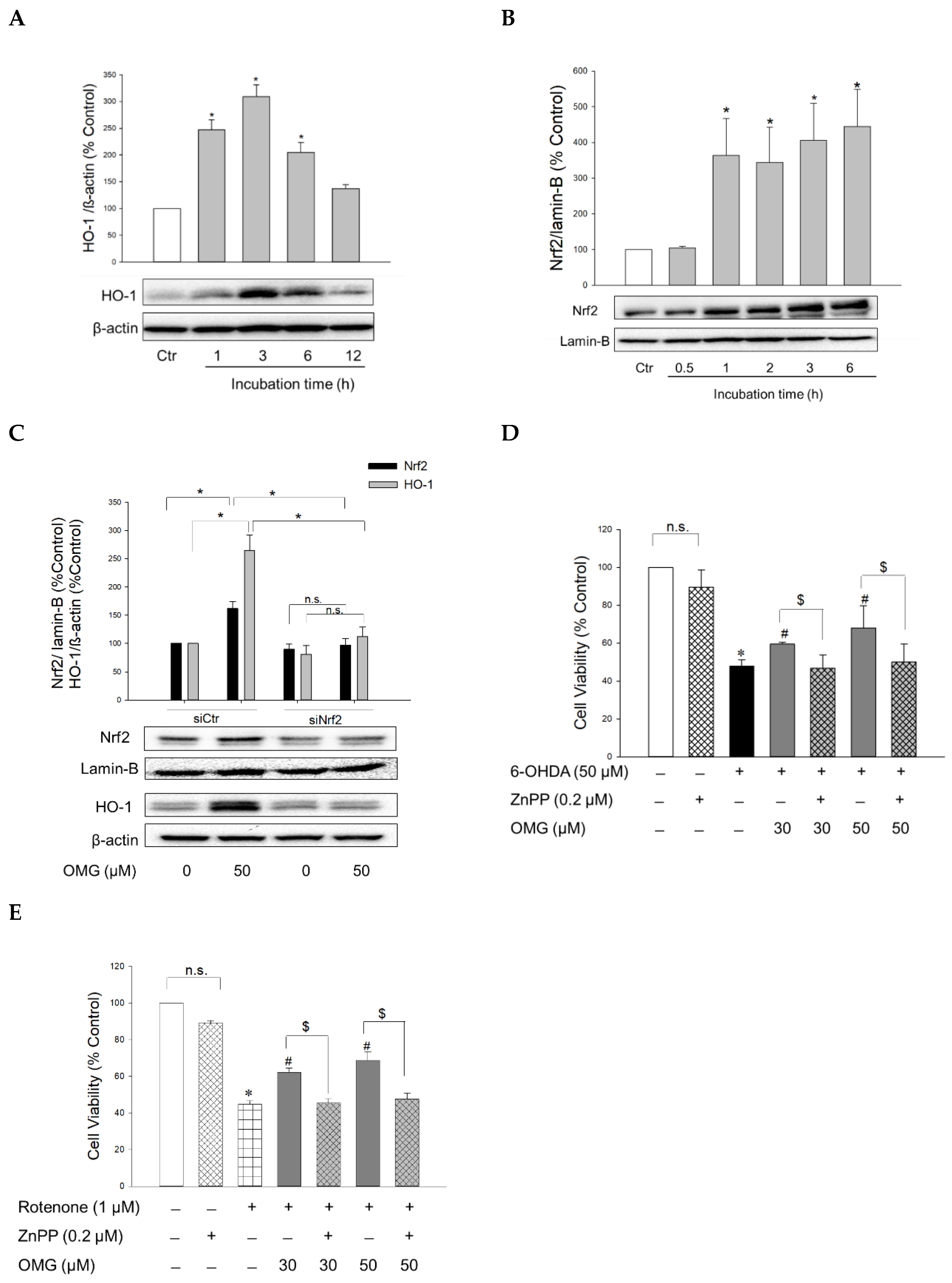 Antioxidants 11 01940 g005