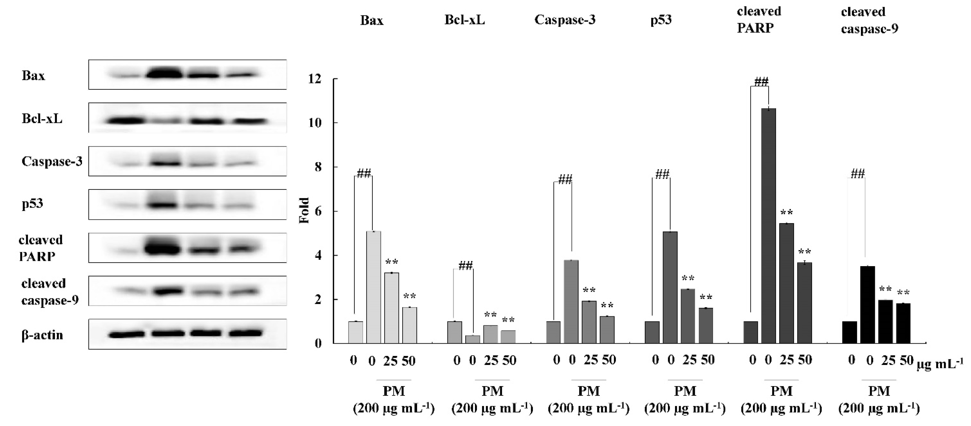 Antioxidants 11 01941 g005