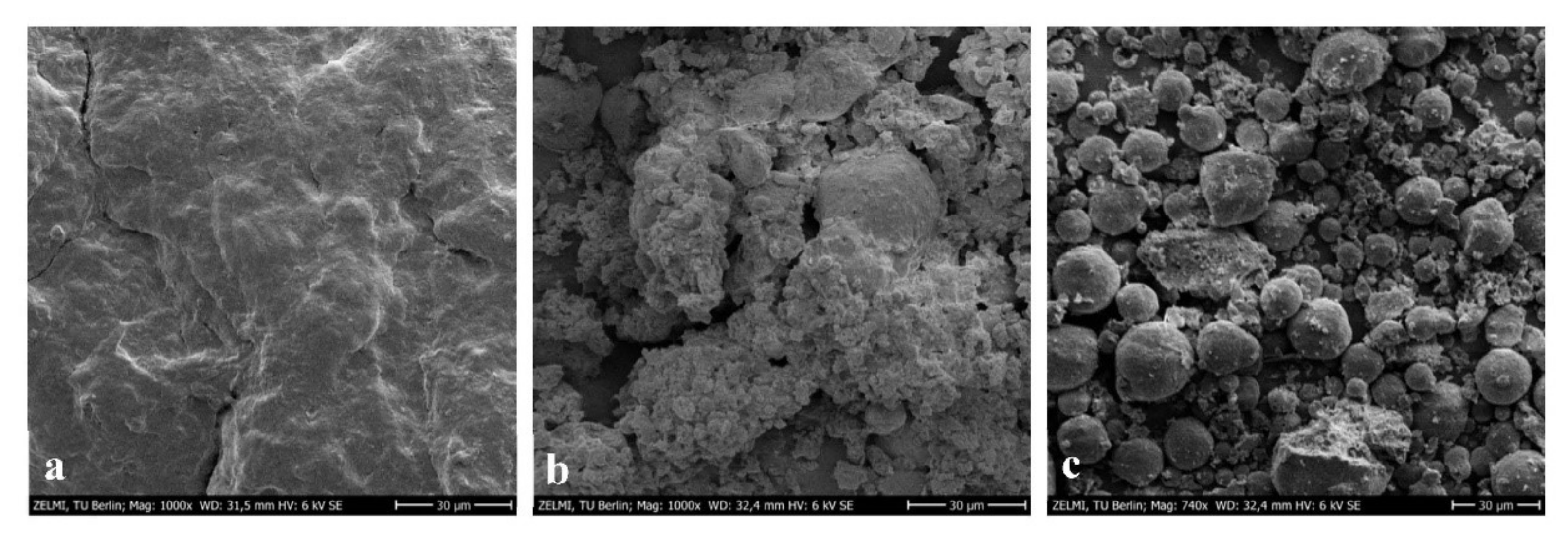 Antioxidants 11 01943 g004