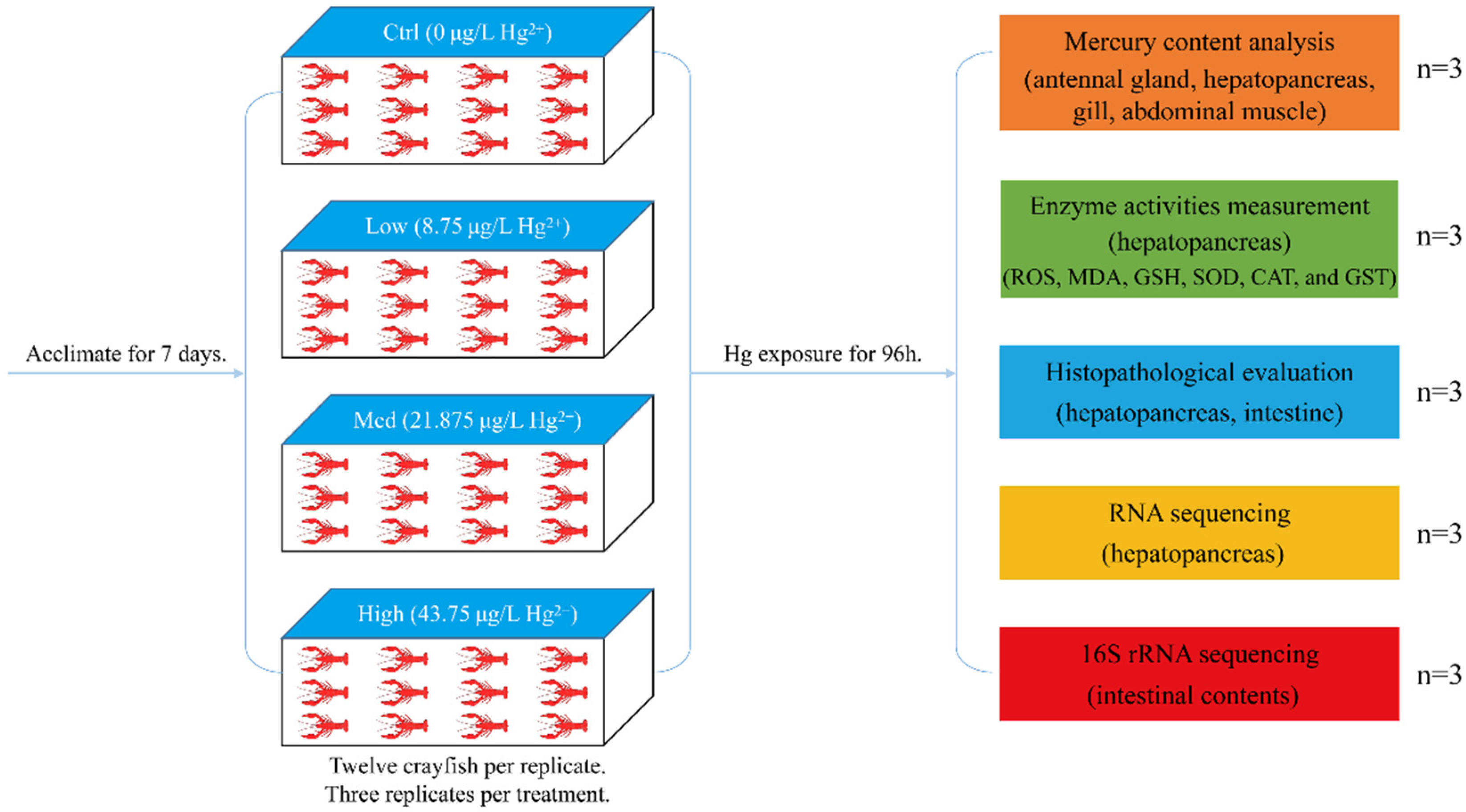 Antioxidants 11 01944 g001