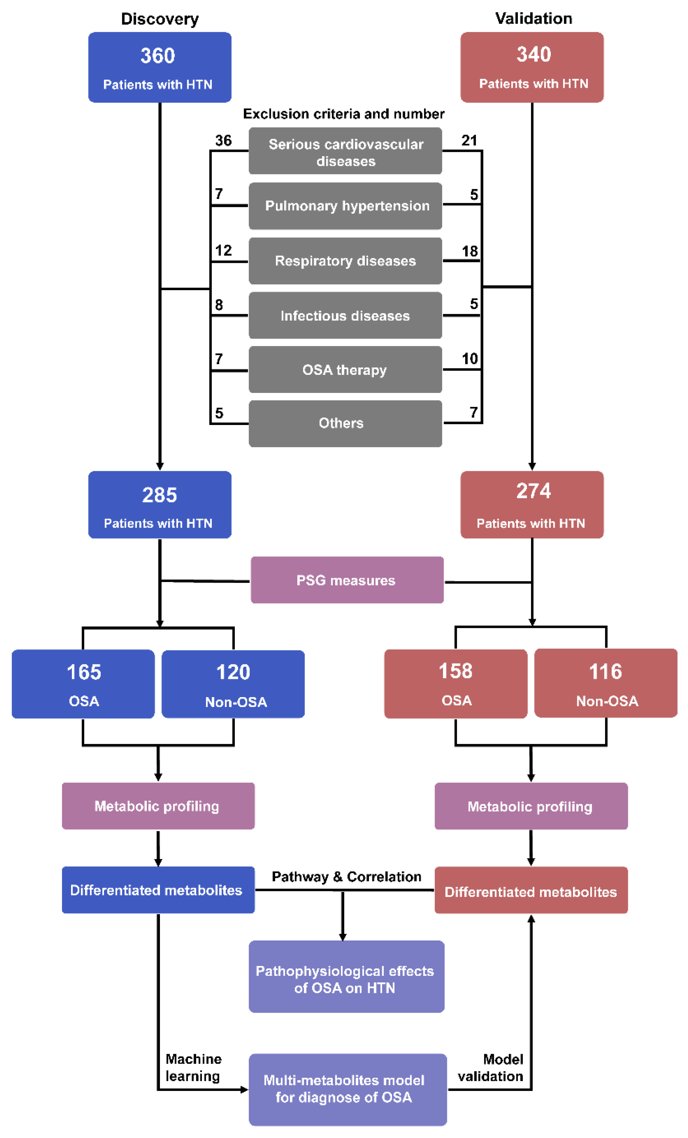 Antioxidants 11 01946 g001