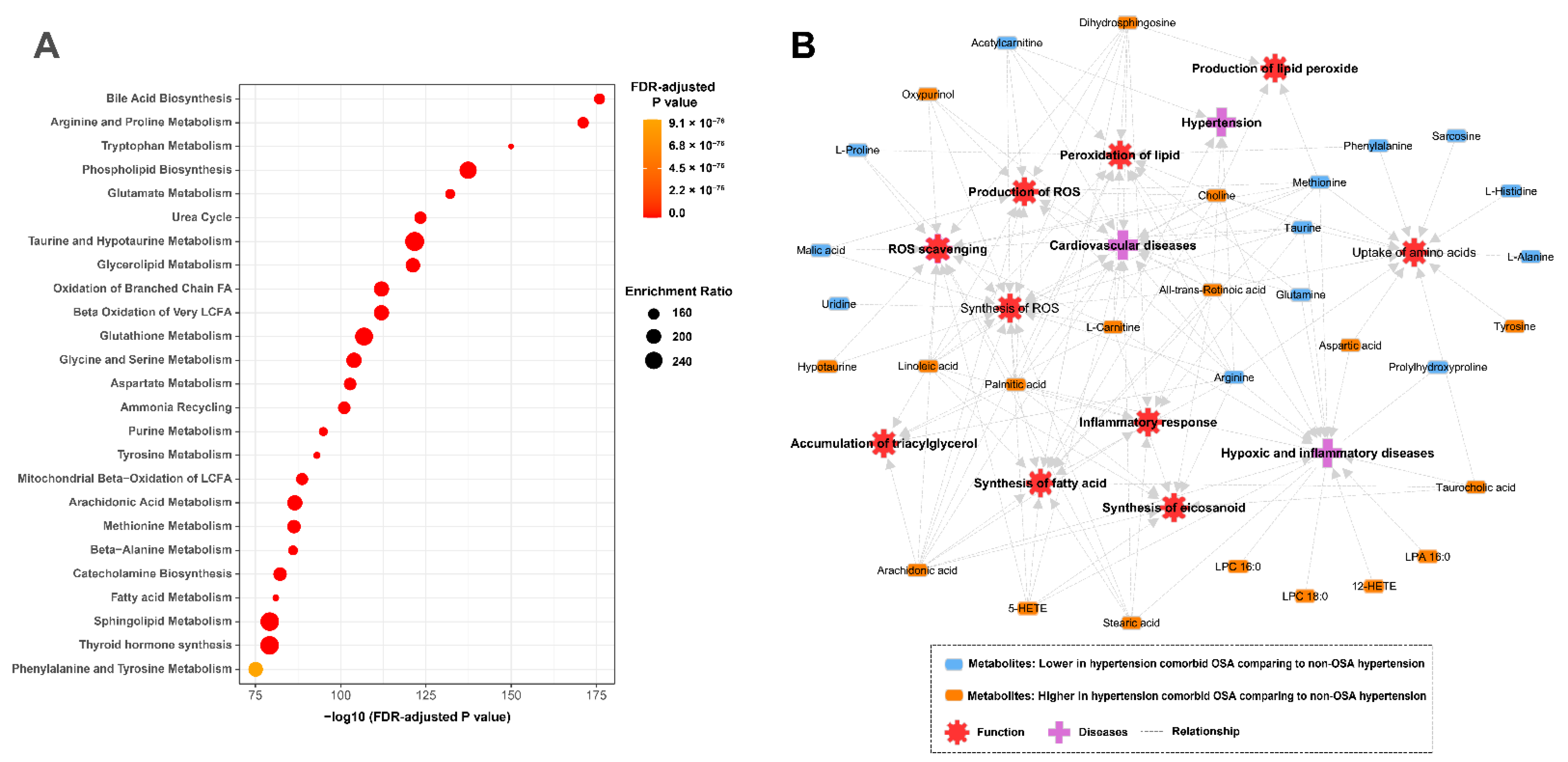 Antioxidants 11 01946 g004