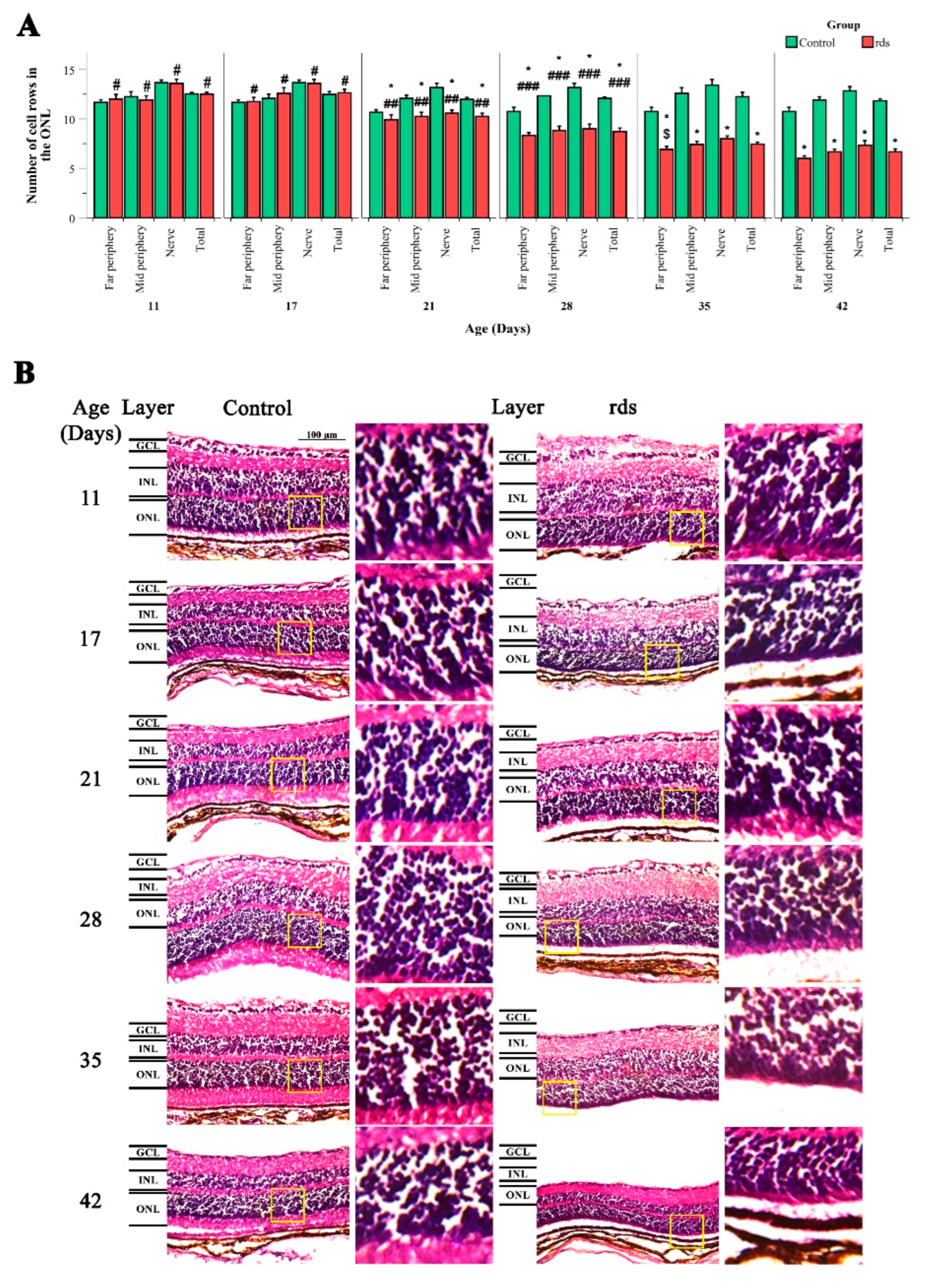 Antioxidants 11 01950 g001