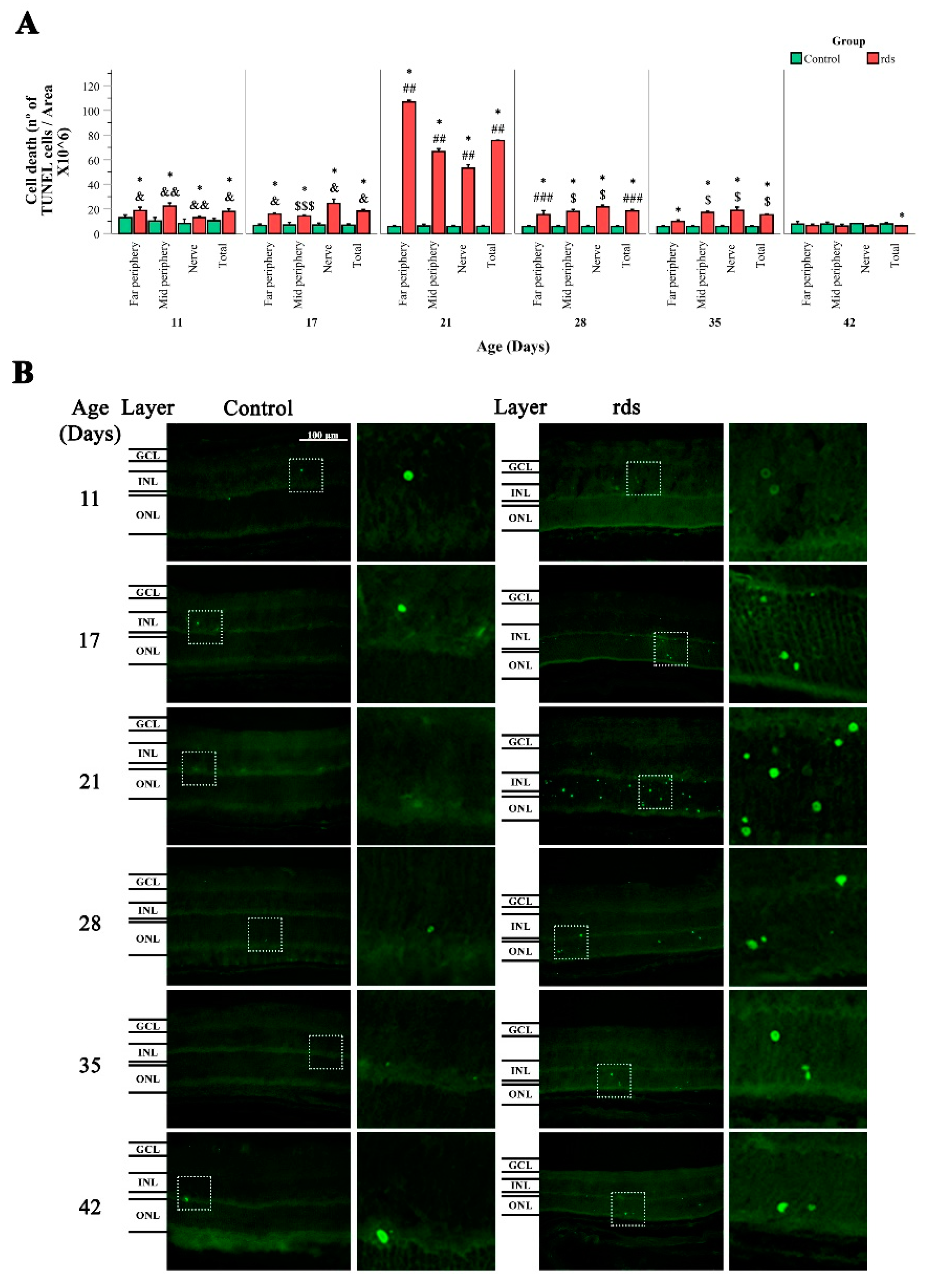 Antioxidants 11 01950 g002